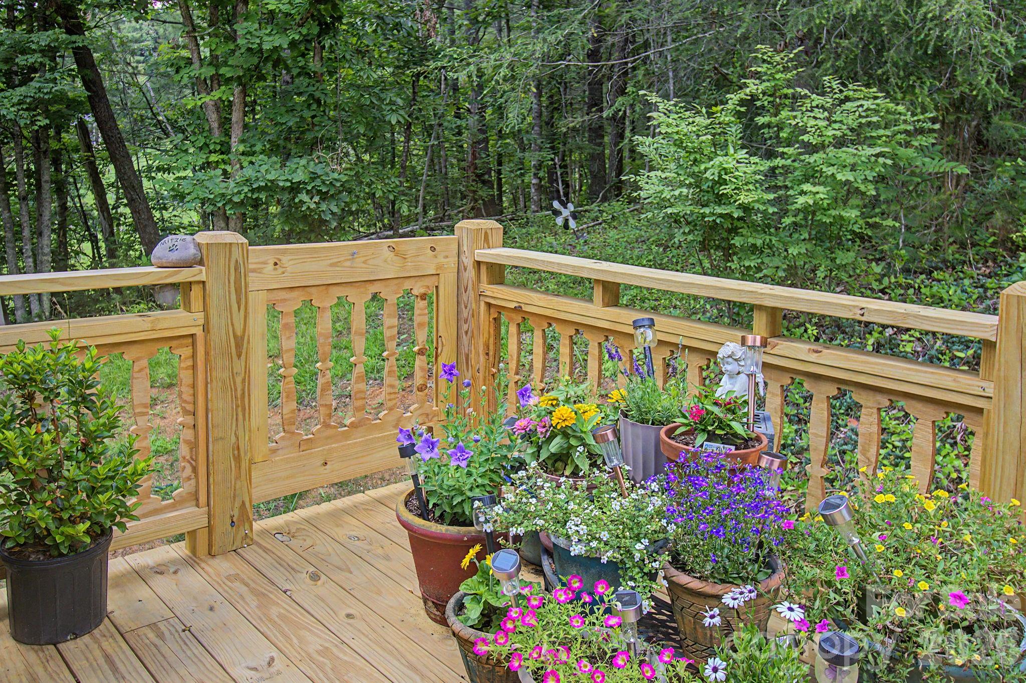 175 Pine Cove Lane — Alexander