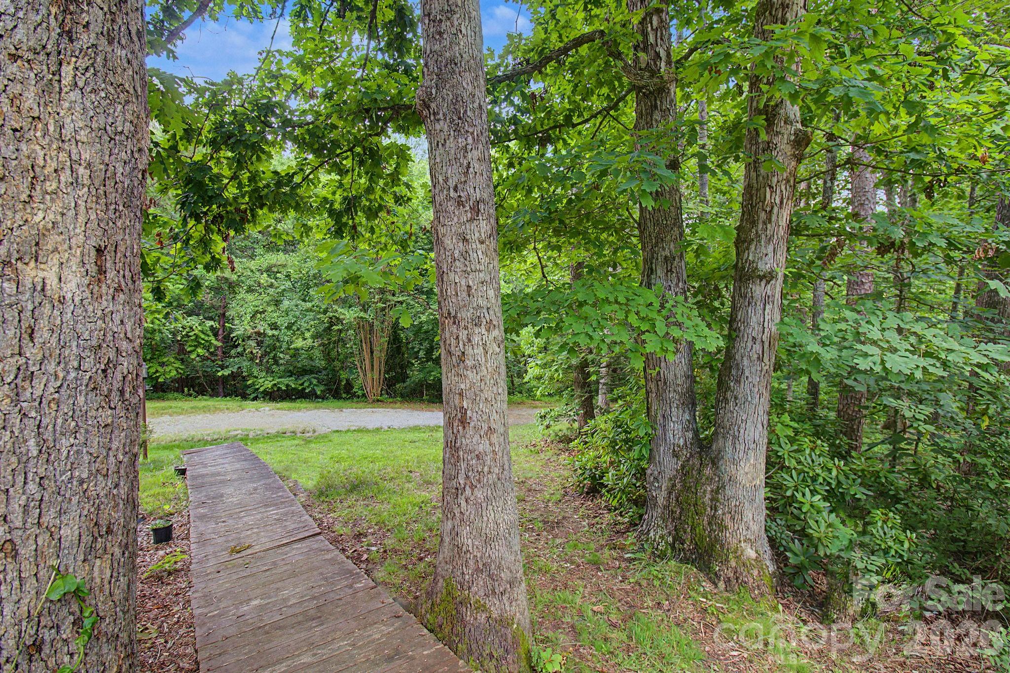 175 Pine Cove Lane — Alexander
