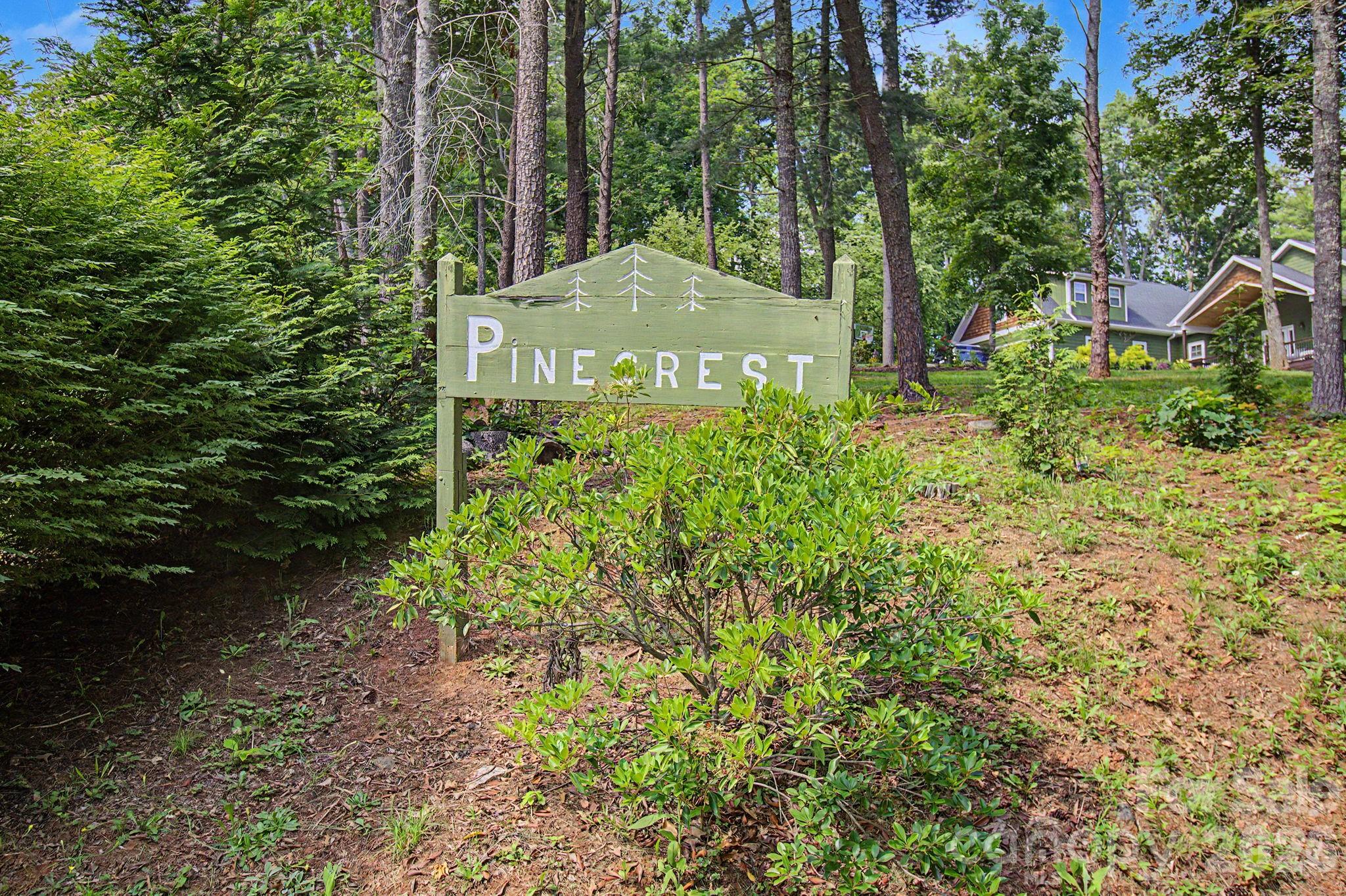 175 Pine Cove Lane — Alexander