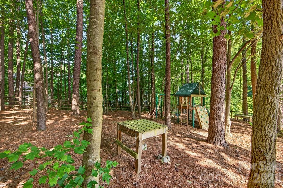 12023 Overlook Mountain Drive — Charlotte