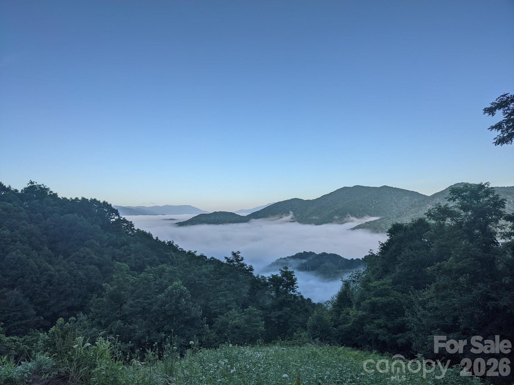 1877 Wilson Cove Road — Canton