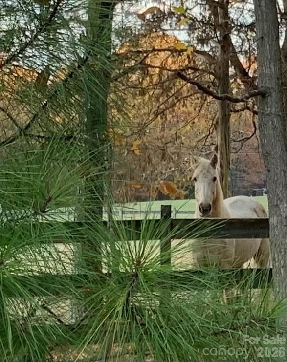 7712 Old Waxhaw Monroe Road — Waxhaw