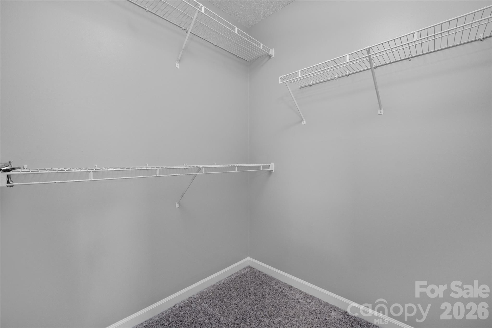 9535 Forest Path Drive — Charlotte