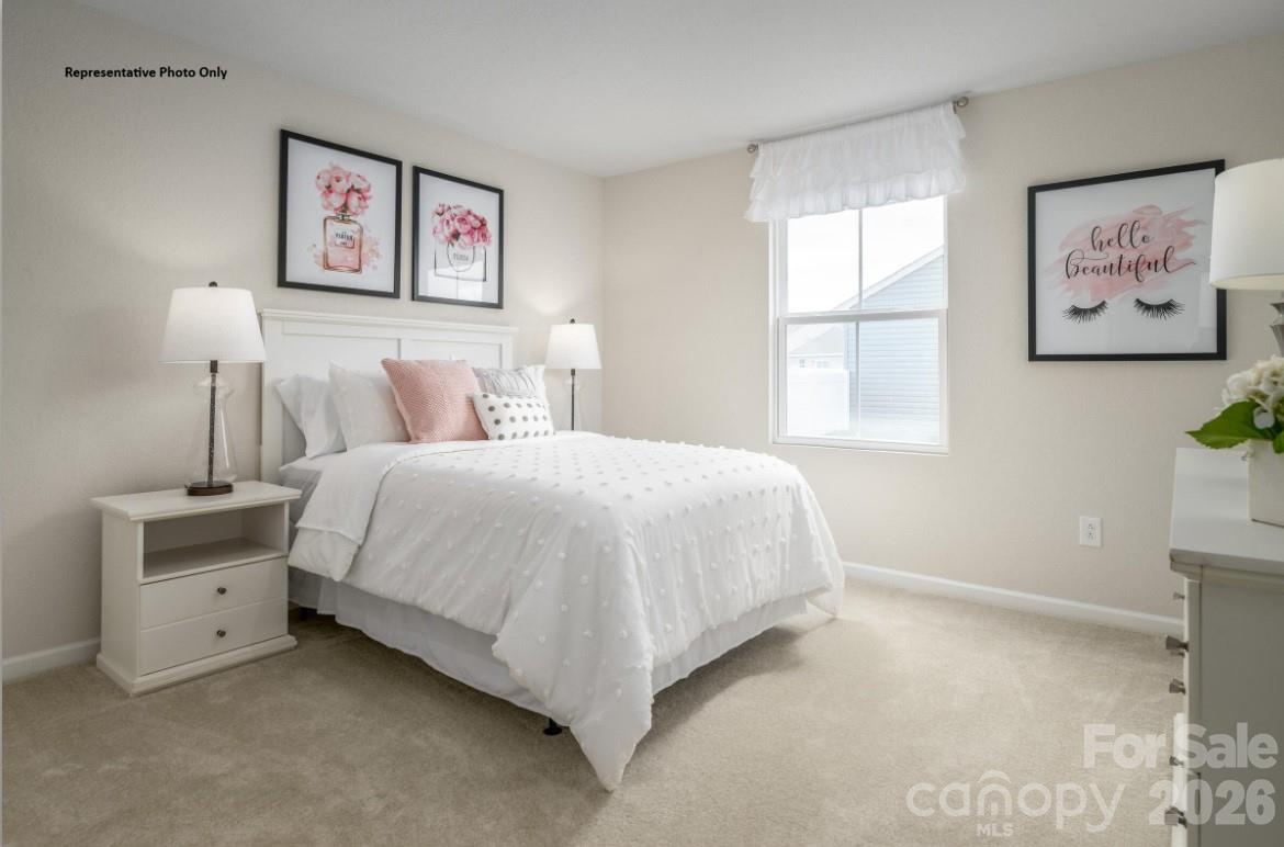 212 Maggys Way — Pageland