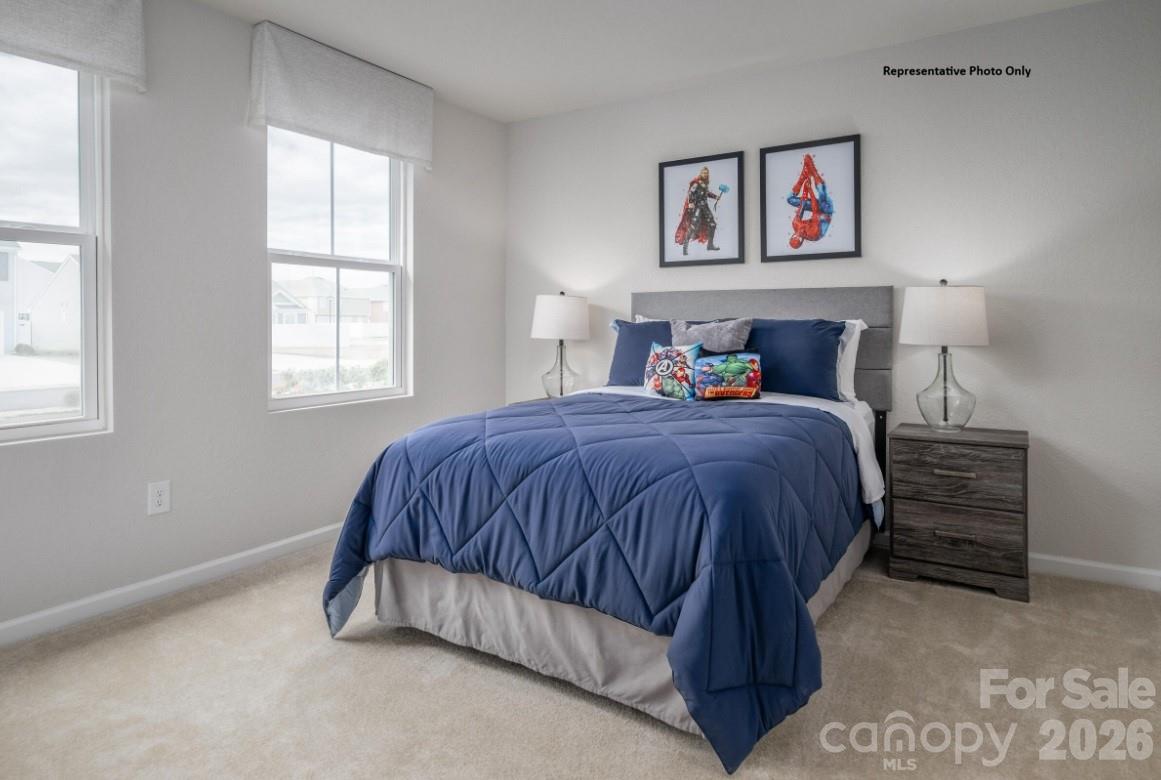 212 Maggys Way — Pageland