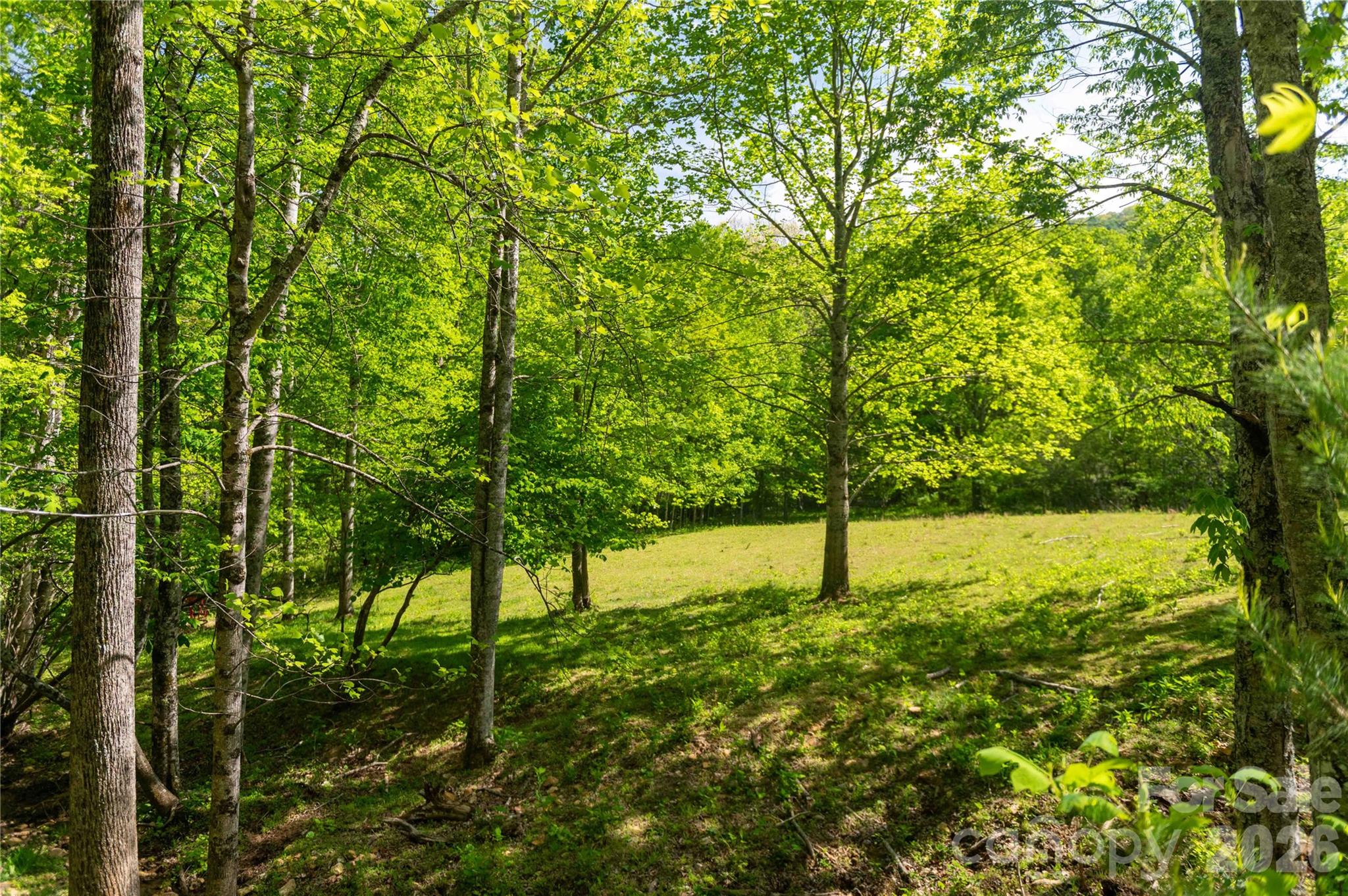 60 Virgels Mountain Road — Burnsville