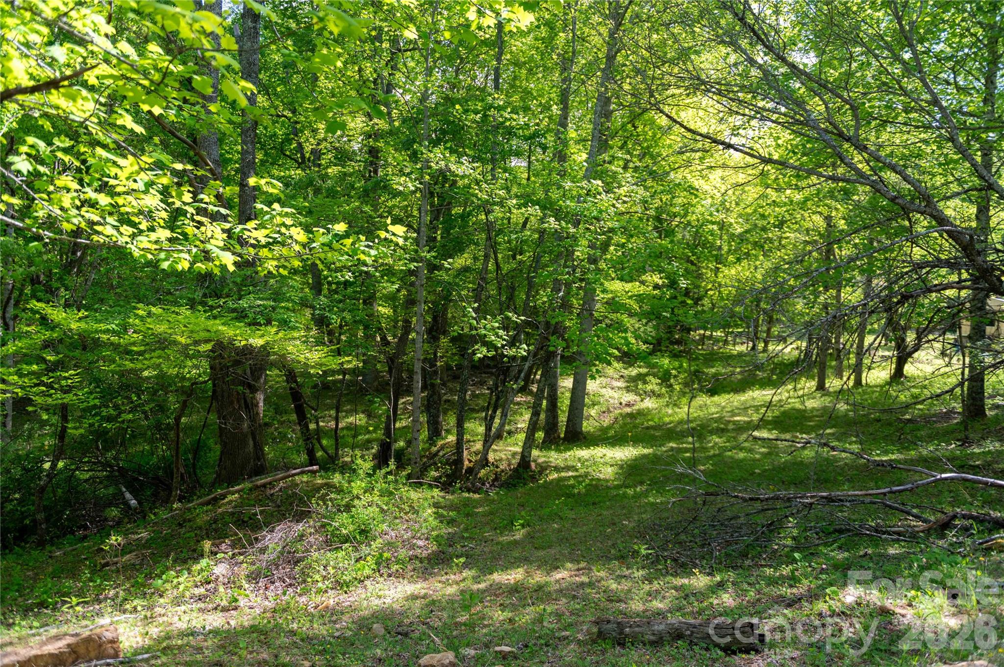 60 Virgels Mountain Road — Burnsville