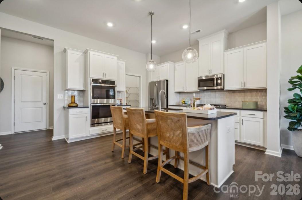 21209 Lake Run Drive — Charlotte