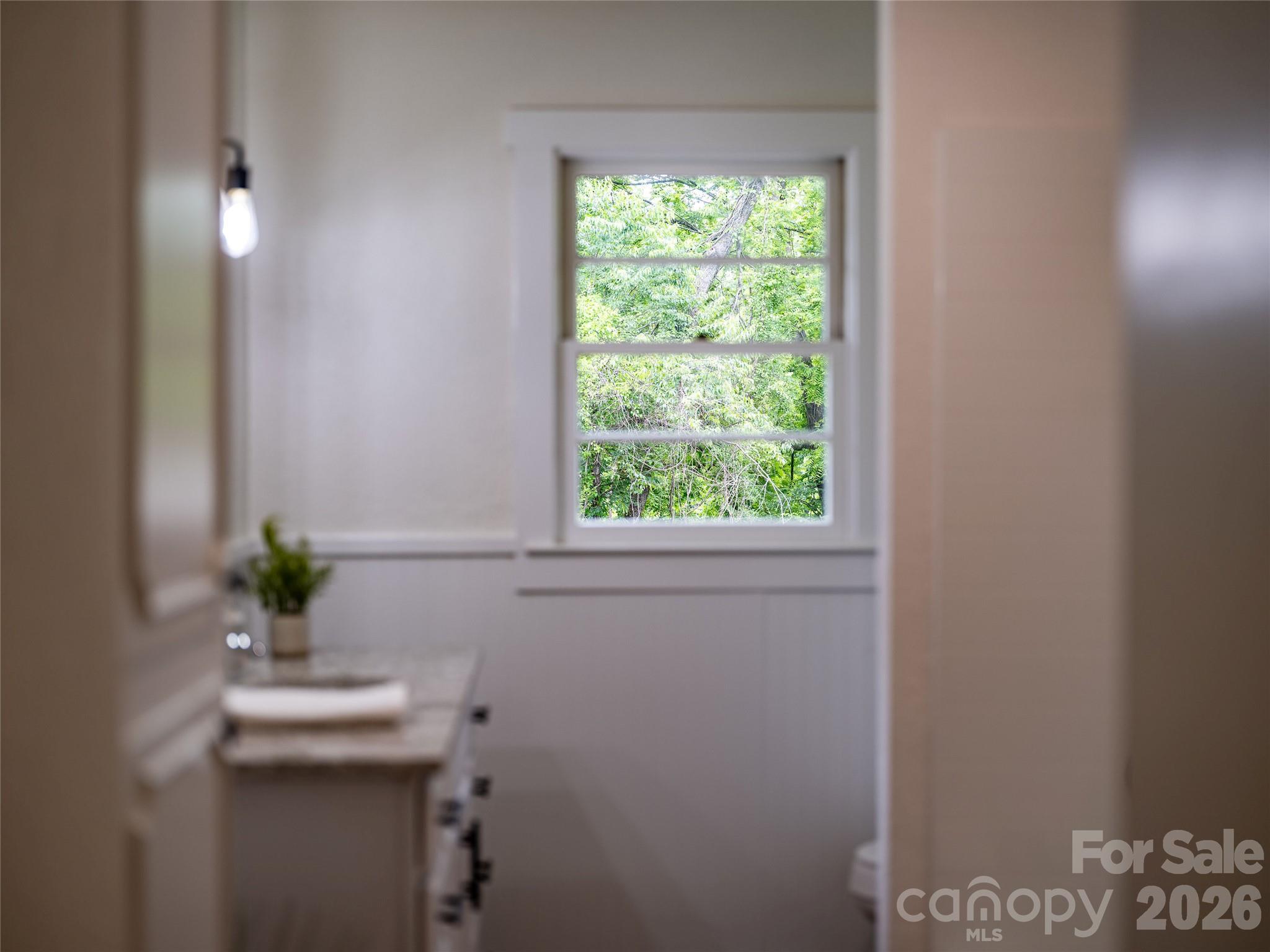 209 View Street — Asheville
