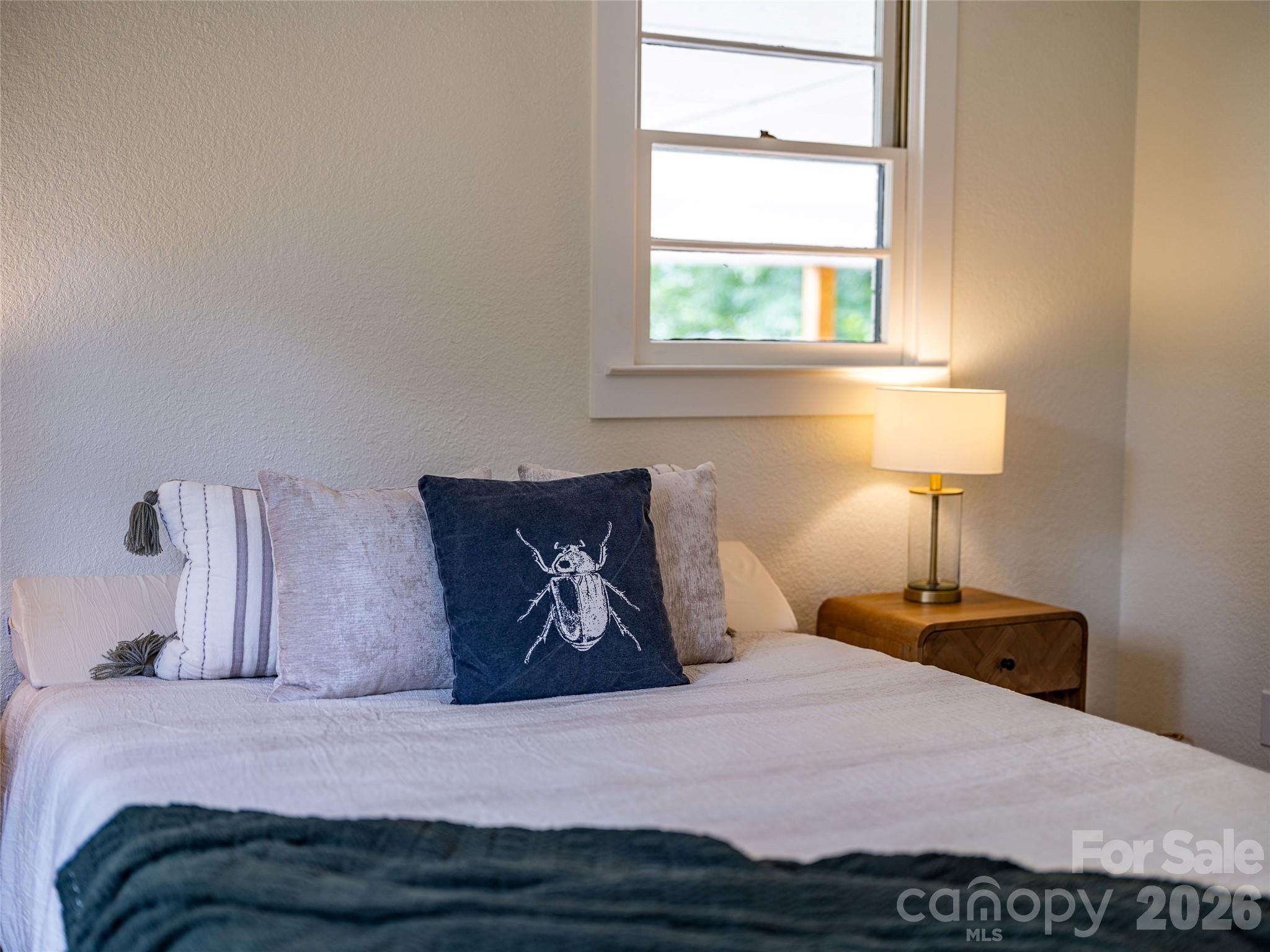 209 View Street — Asheville