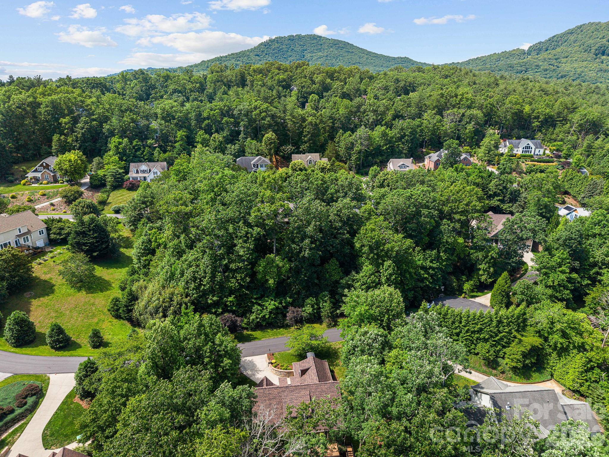 421 Purple Finch Court — Arden