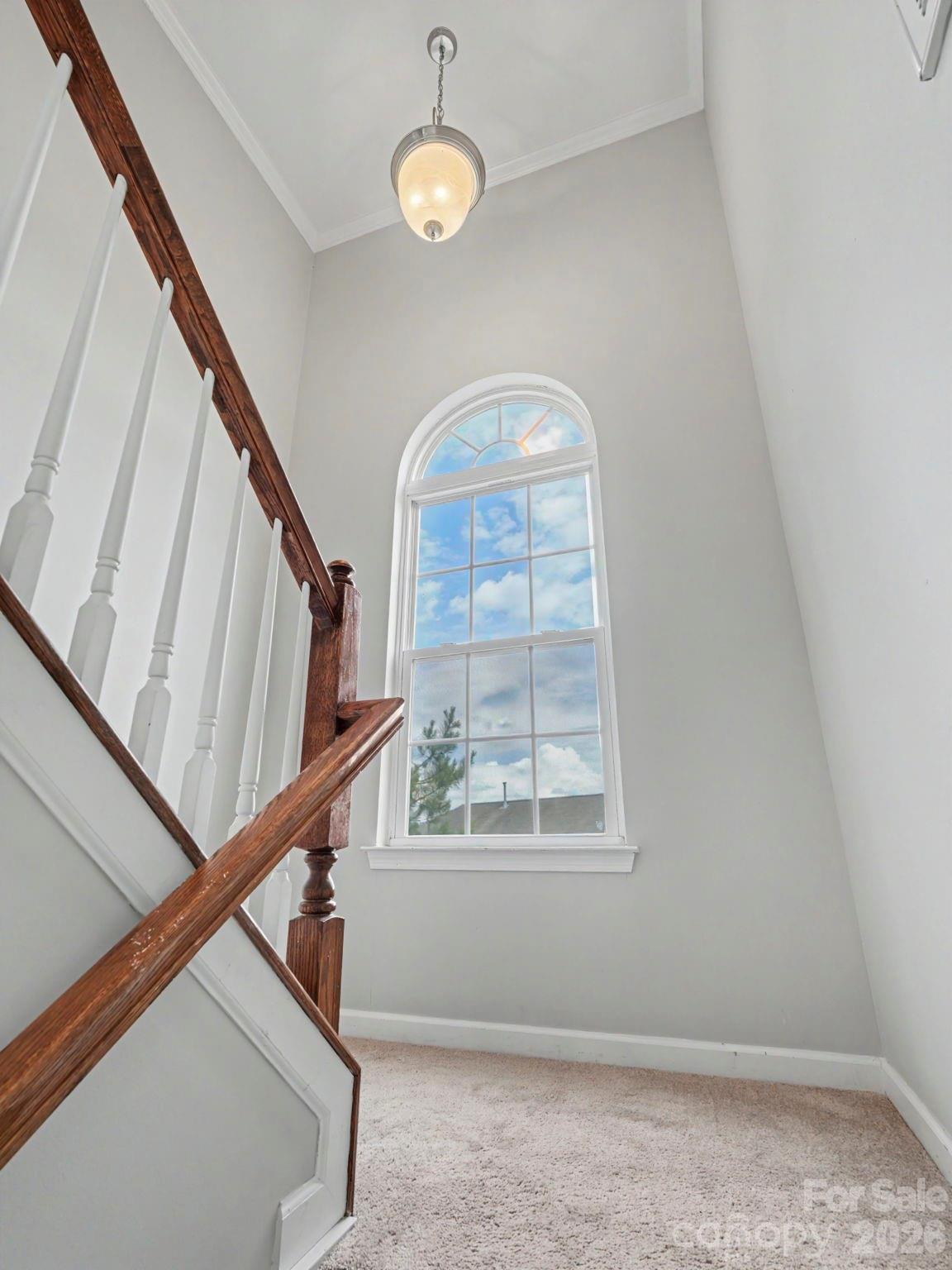 305 Hydrangea Drive — Clover