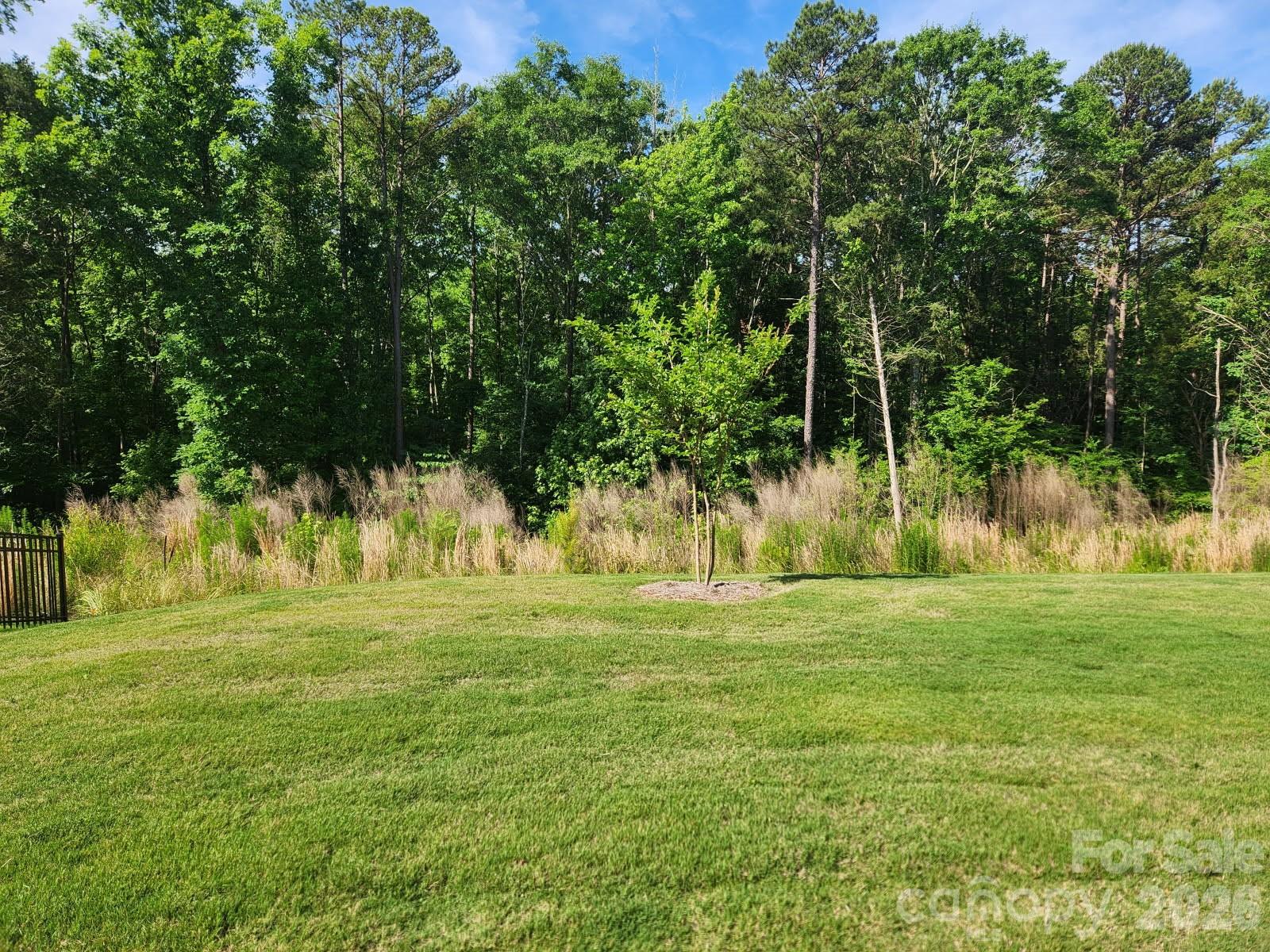 3849 Horsham Street — Indian Land