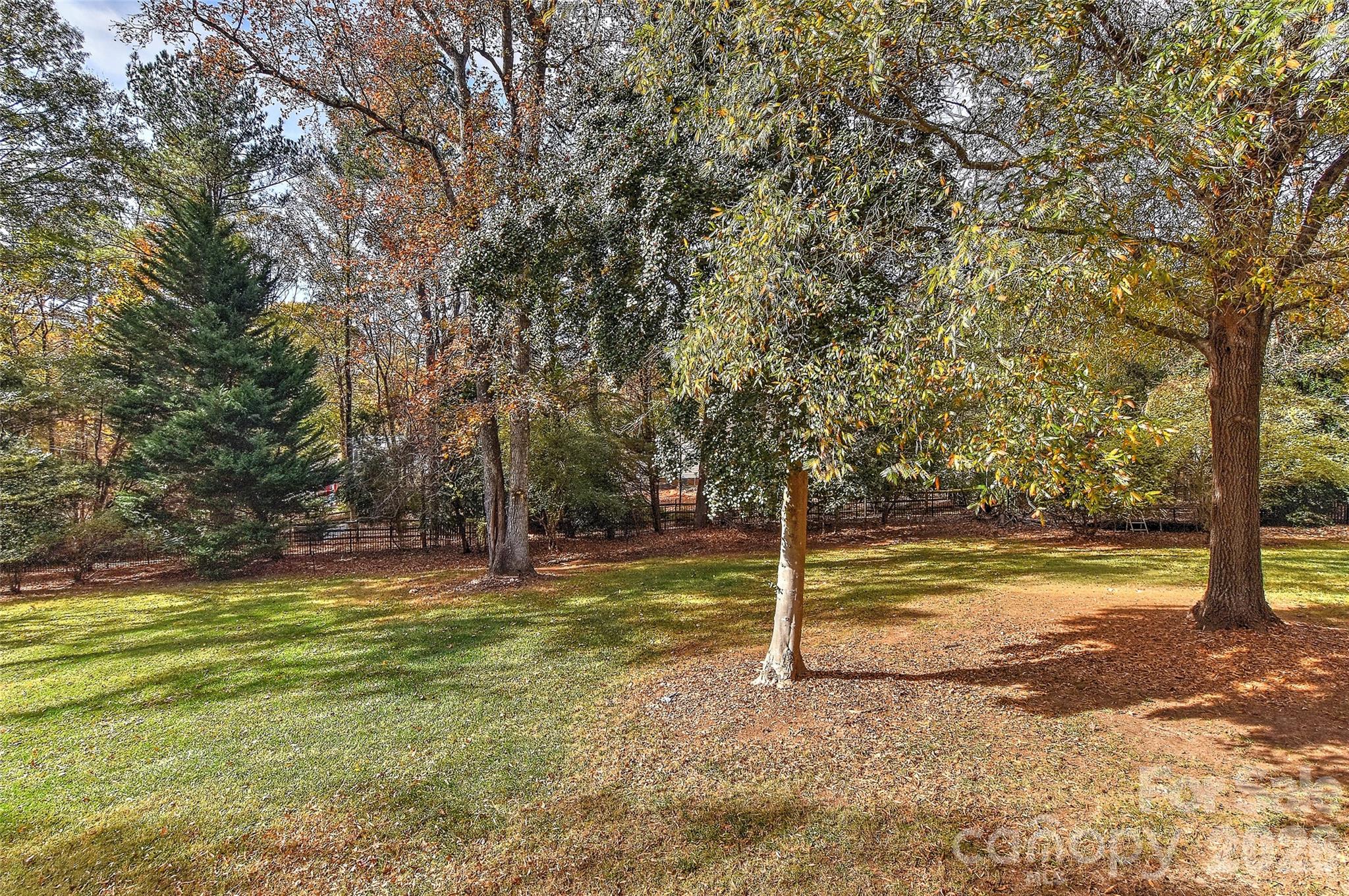 6117 Cherry Tree Lane — Charlotte