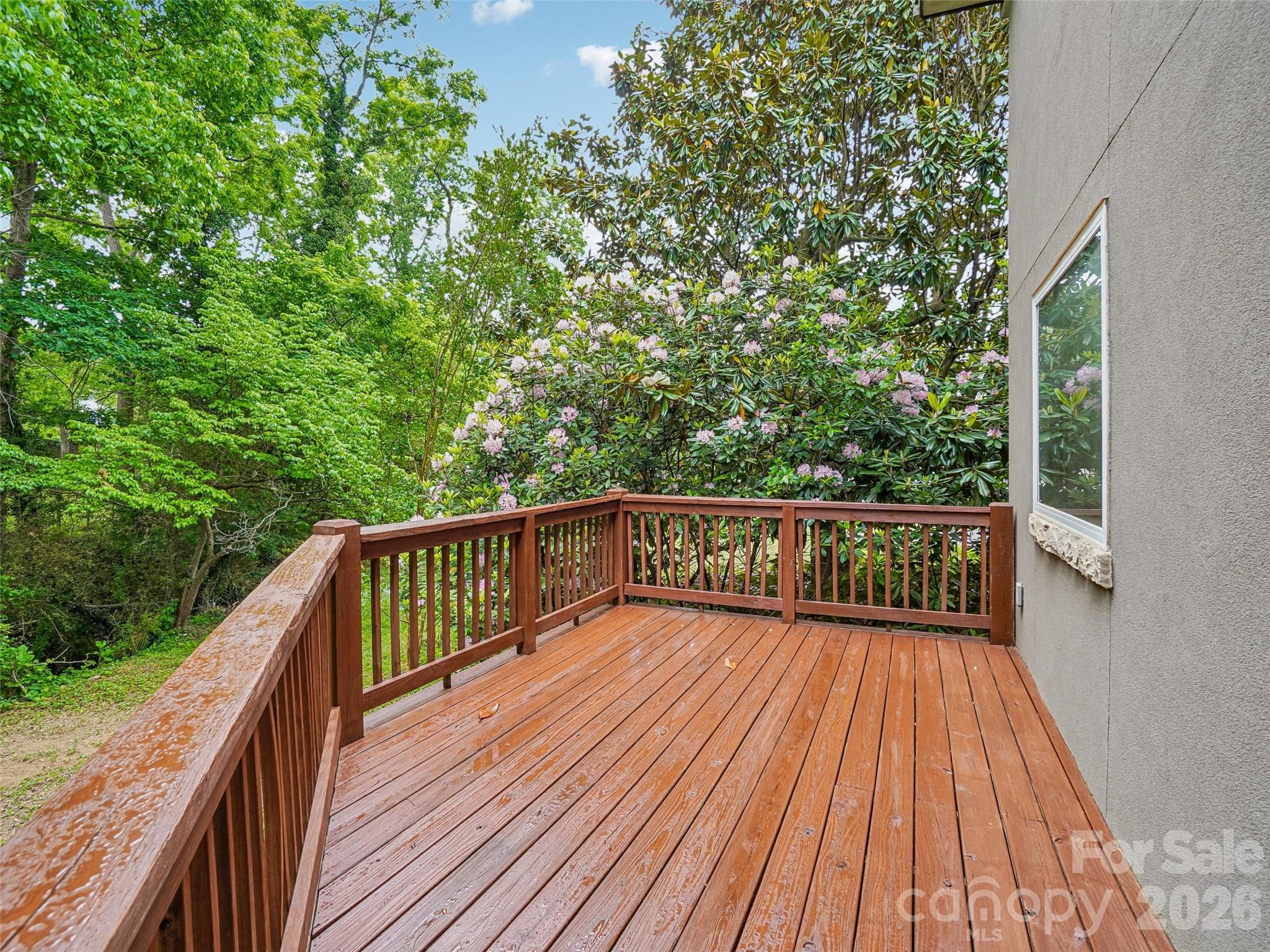 3 Delaware Avenue — Asheville