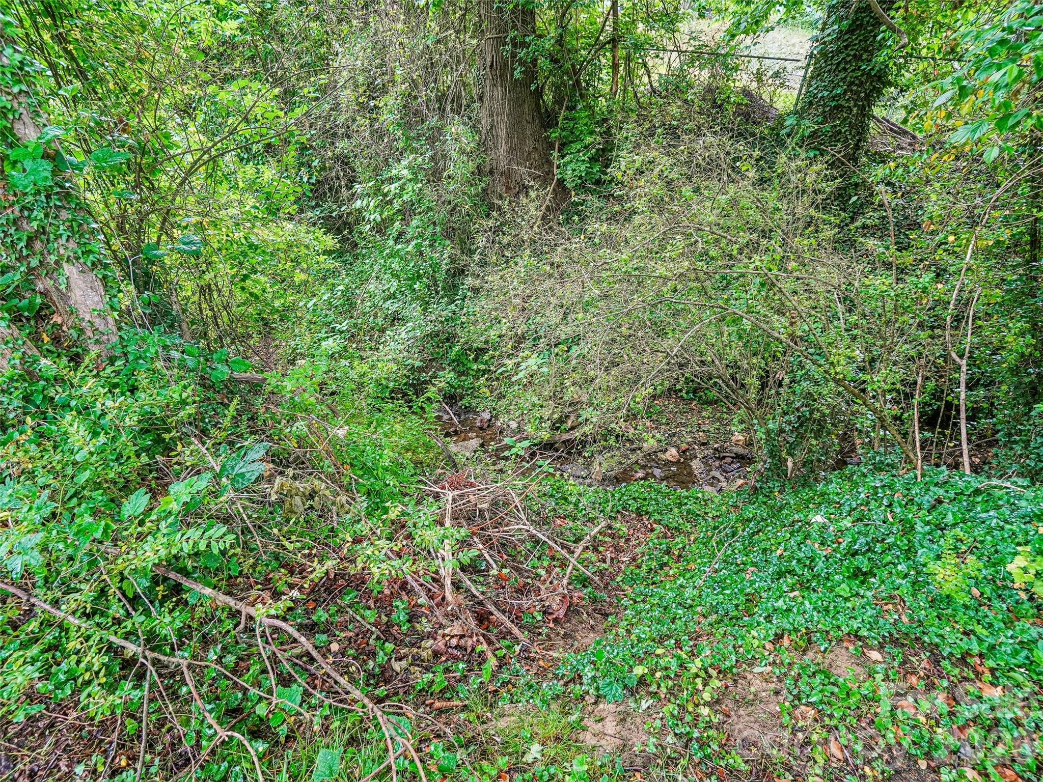 3 Delaware Avenue — Asheville