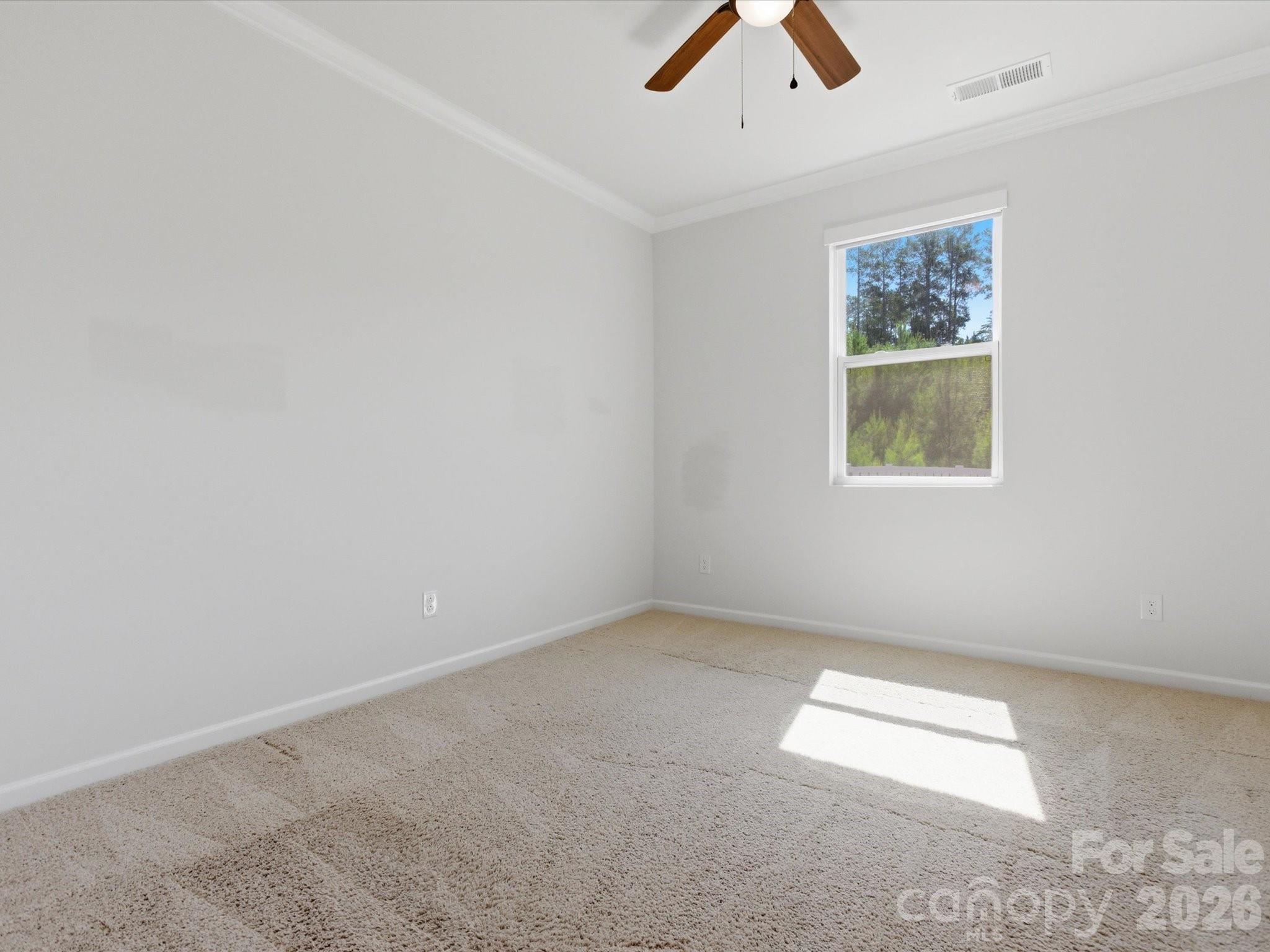 17033 Carolina Pine Row — Charlotte