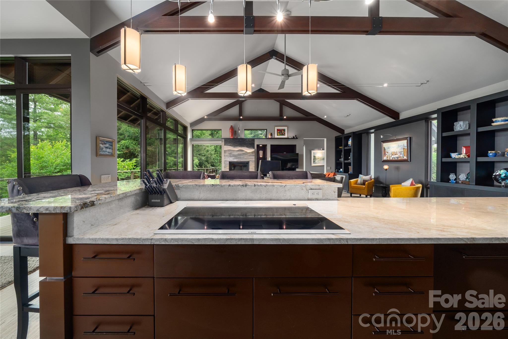 257 Bear Landing Drive — Hendersonville