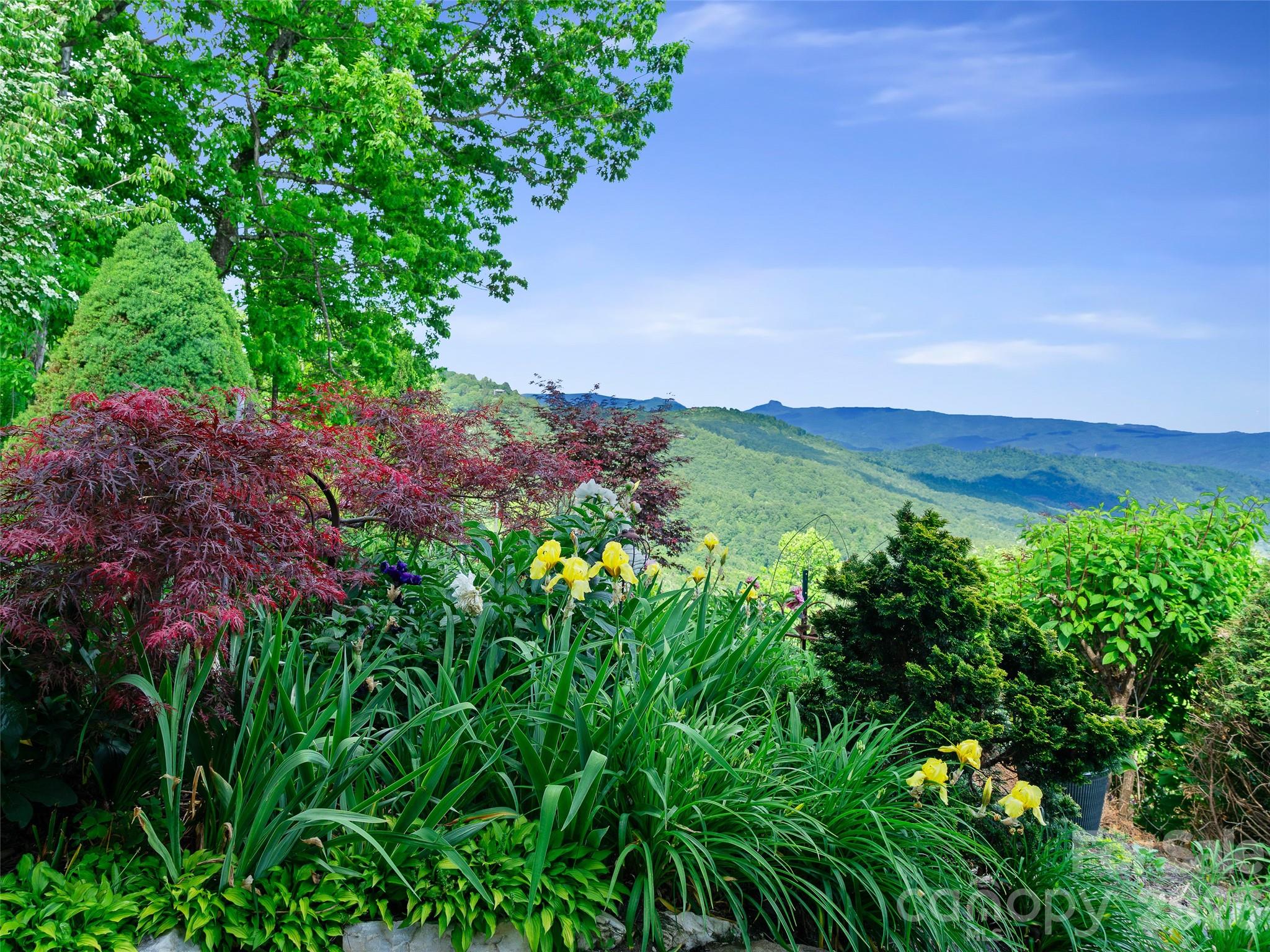 729 Bear Wallow Road — Little Switzerland