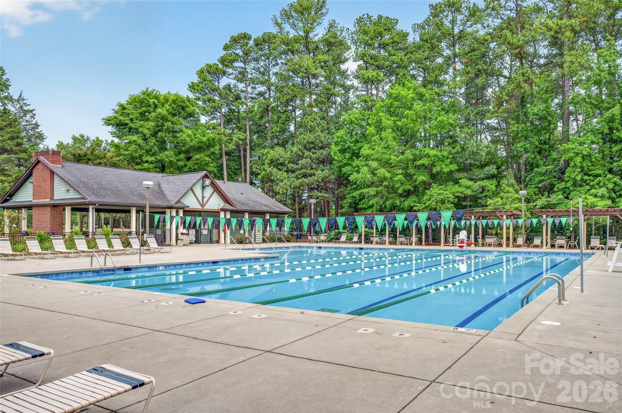 9834 Dominion Crest Drive — Charlotte
