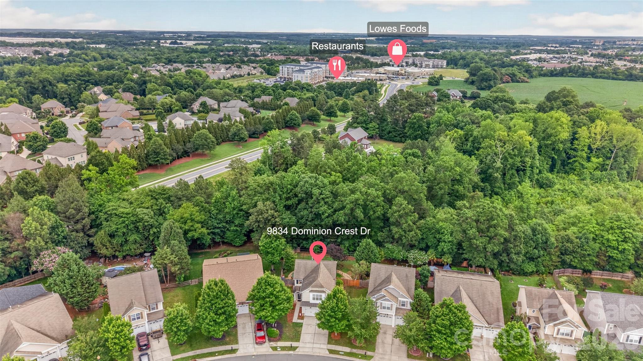 9834 Dominion Crest Drive — Charlotte