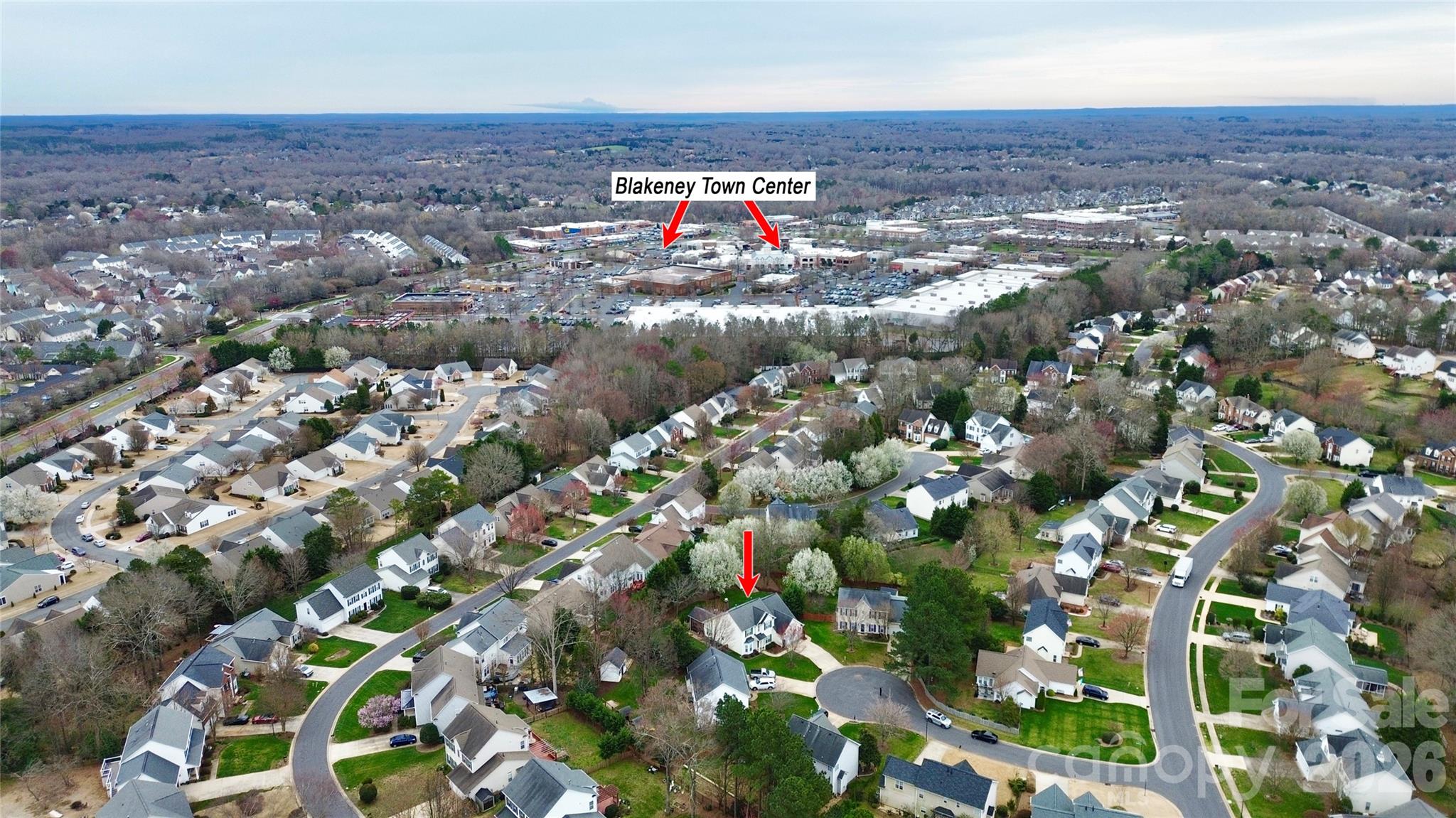 11816 Pheasant Lane — Charlotte