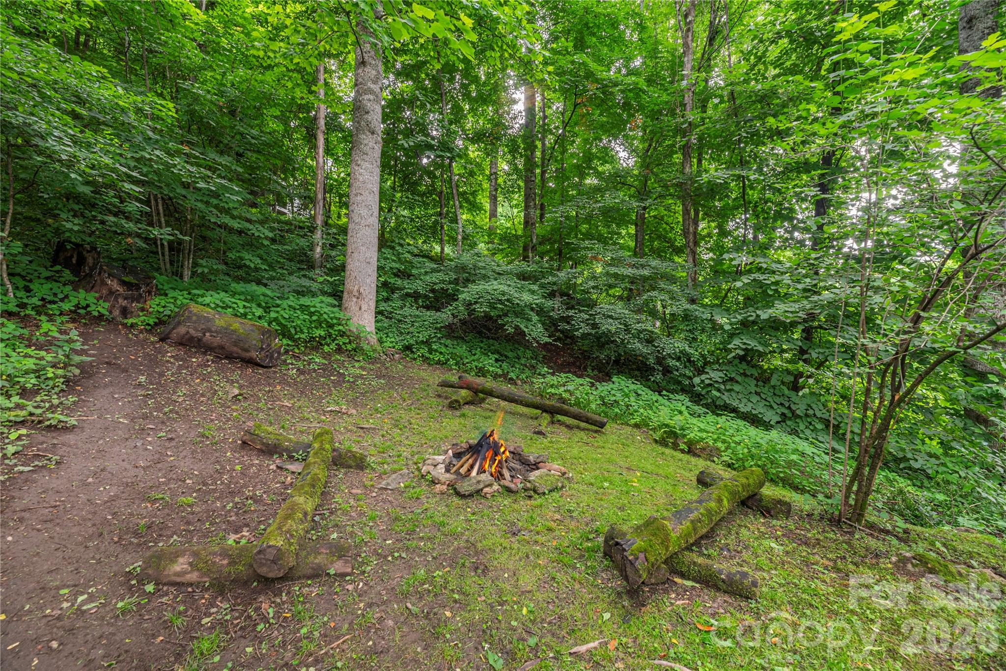 100 Bristol Lane — Maggie Valley