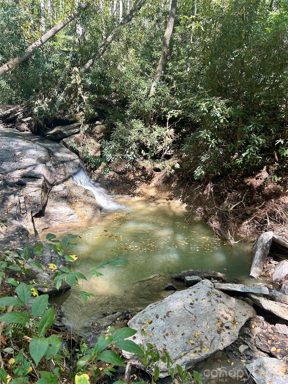 204 Rush Creek Road — Black Mountain