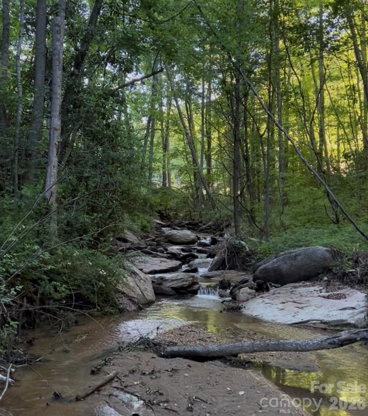 204 Rush Creek Road — Black Mountain