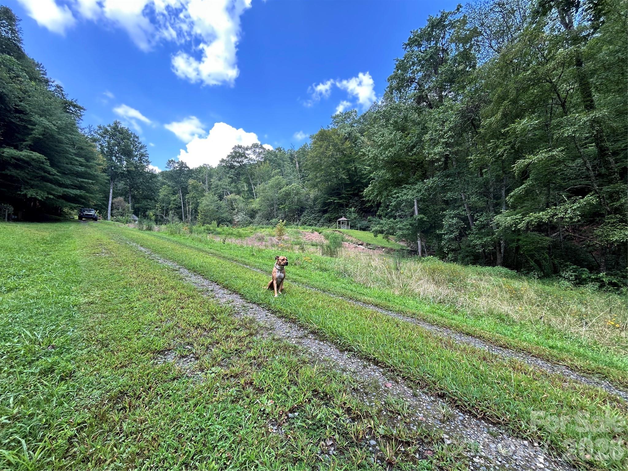 204 Rush Creek Road — Black Mountain