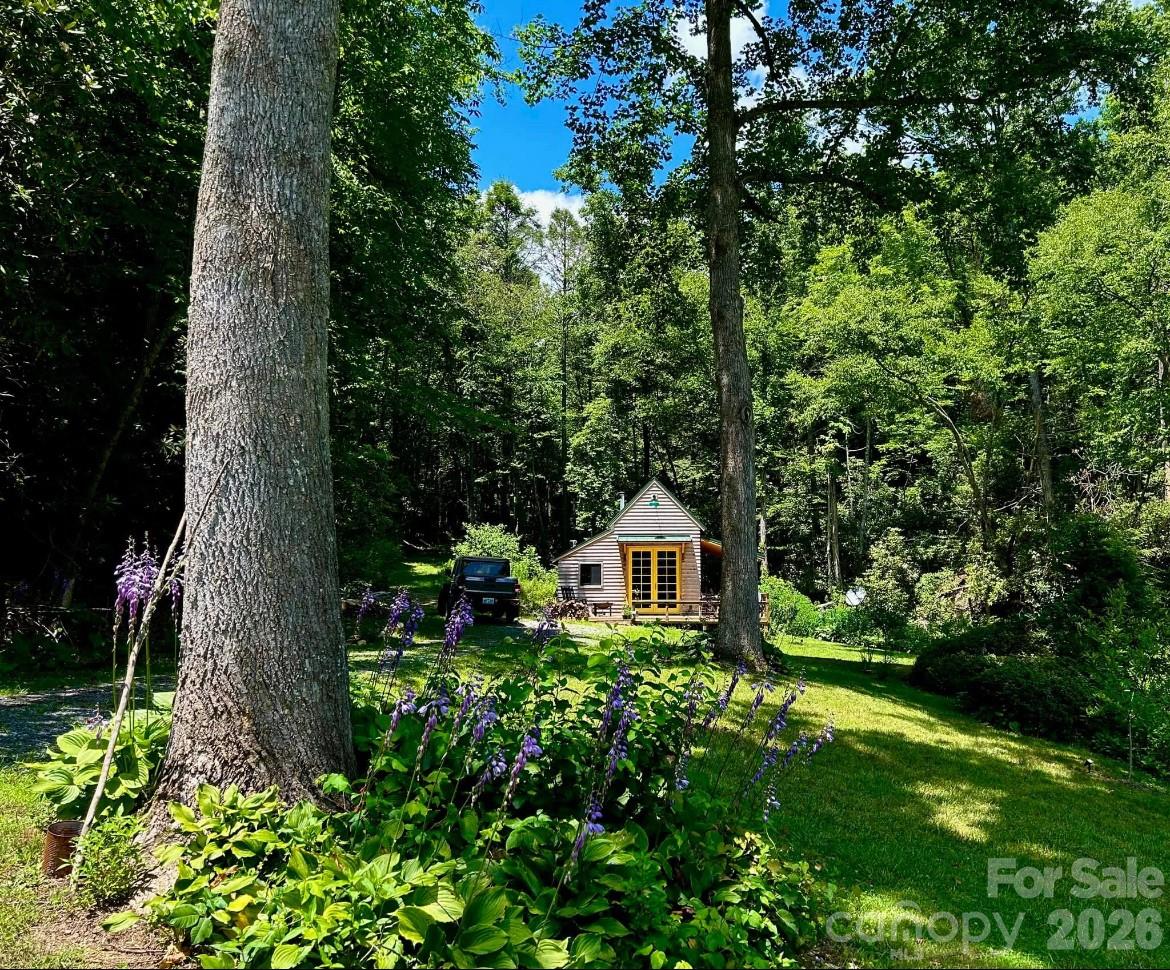 204 Rush Creek Road — Black Mountain