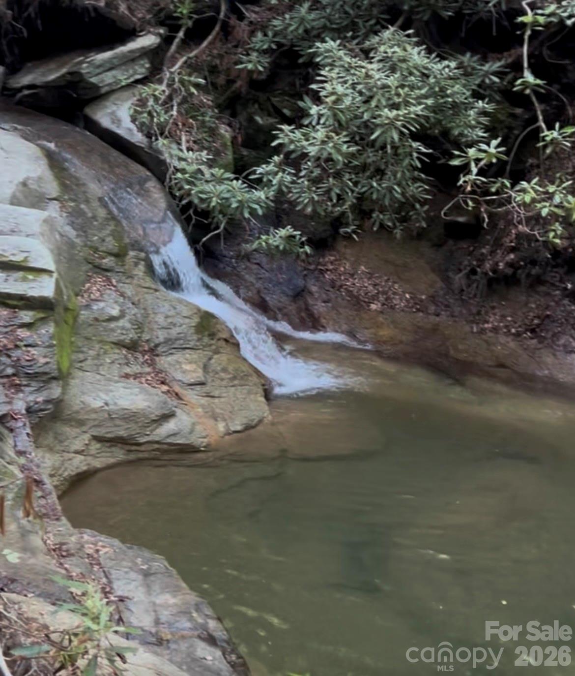 204 Rush Creek Road — Black Mountain