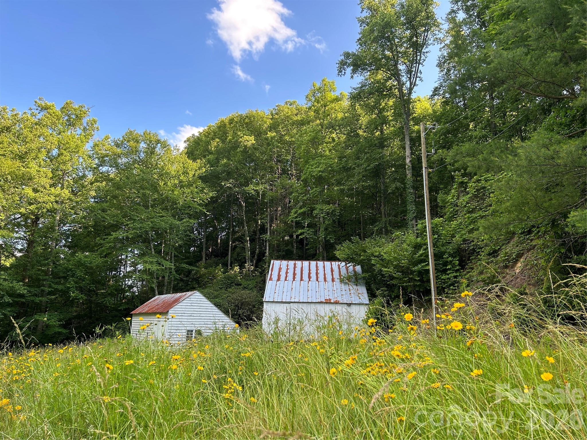 204 Rush Creek Road — Black Mountain