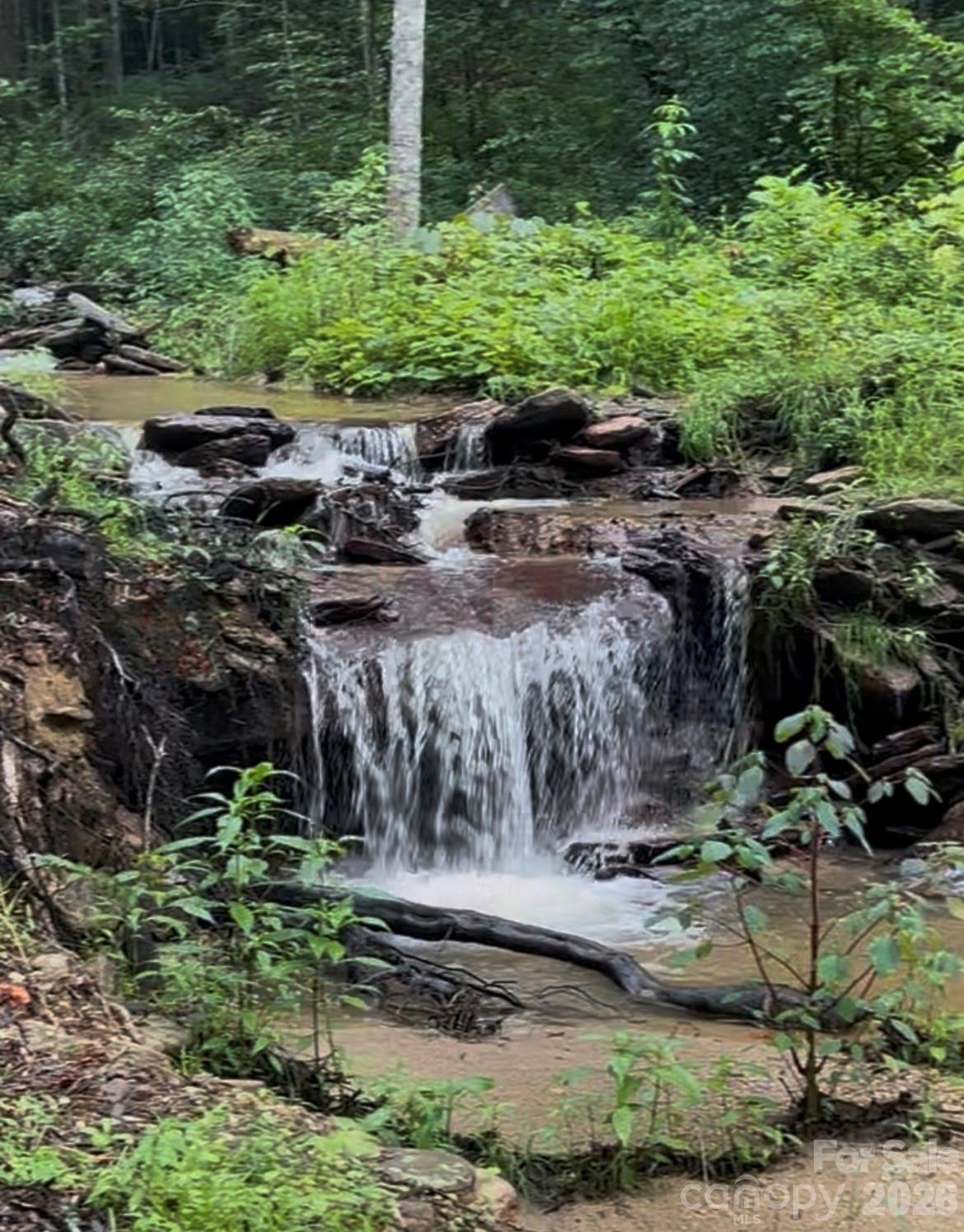 204 Rush Creek Road — Black Mountain