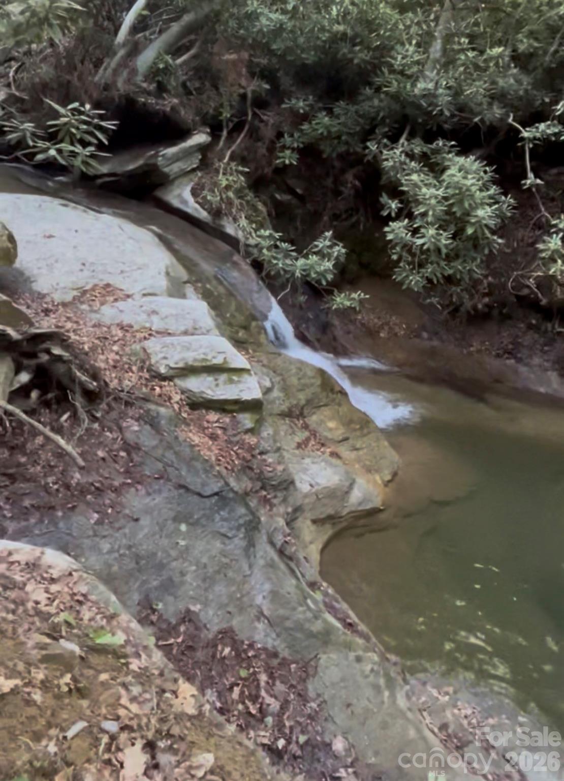 204 Rush Creek Road — Black Mountain