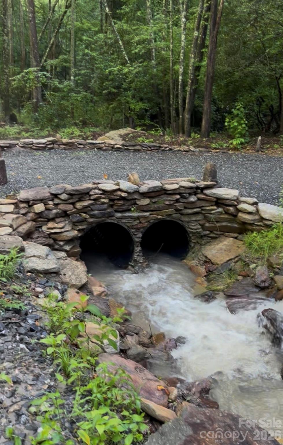 204 Rush Creek Road — Black Mountain