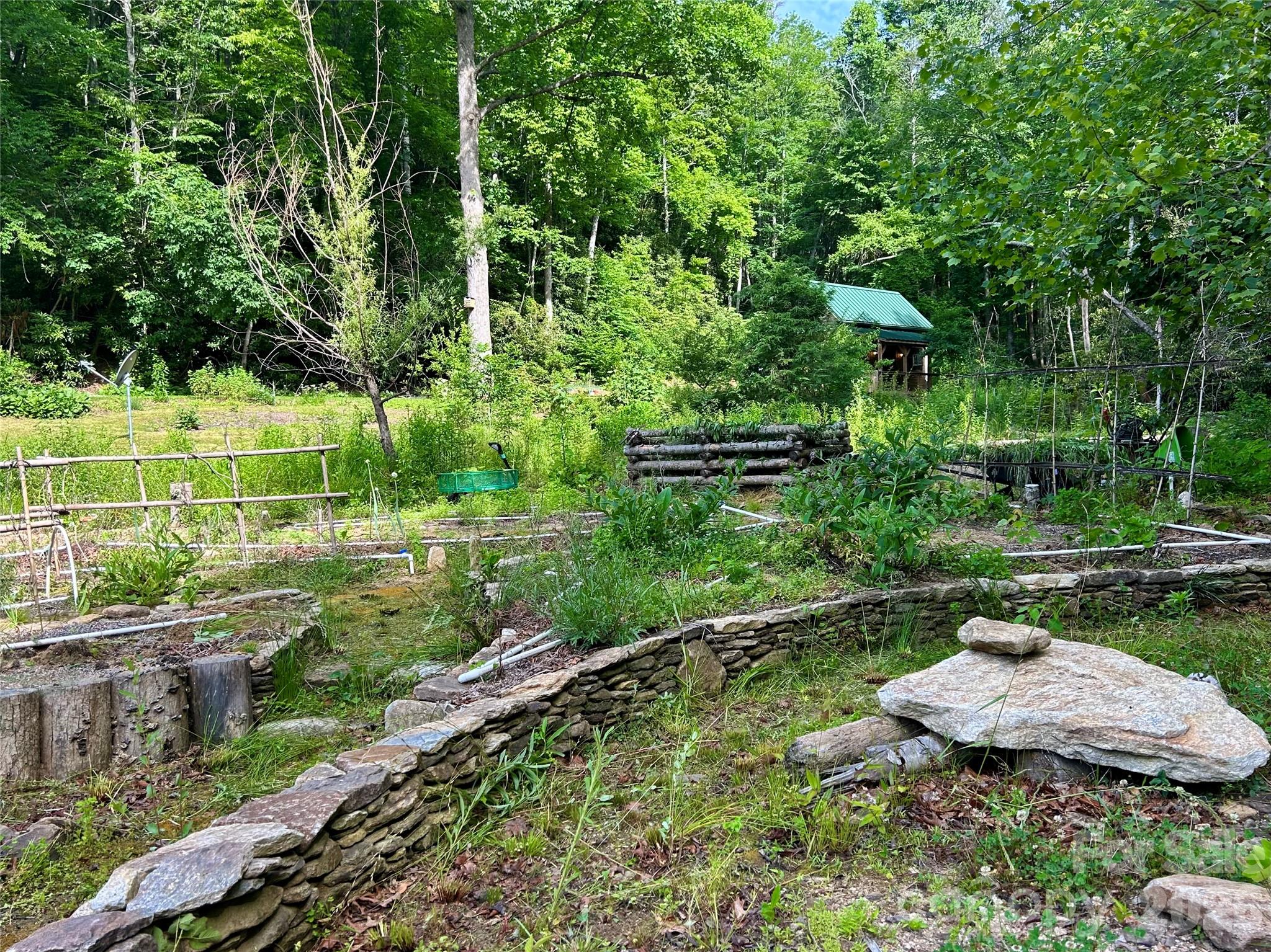 204 Rush Creek Road — Black Mountain