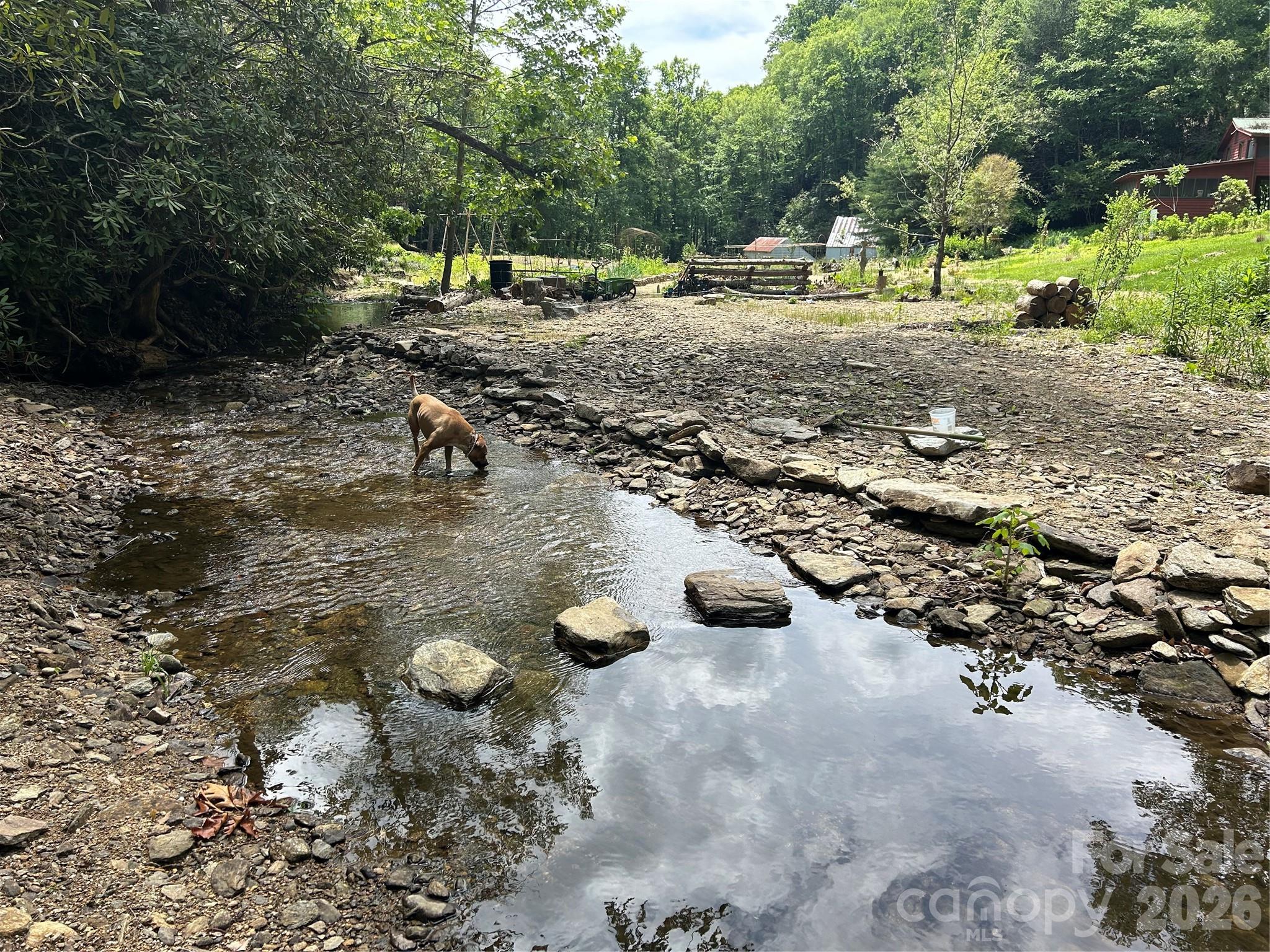 204 Rush Creek Road — Black Mountain