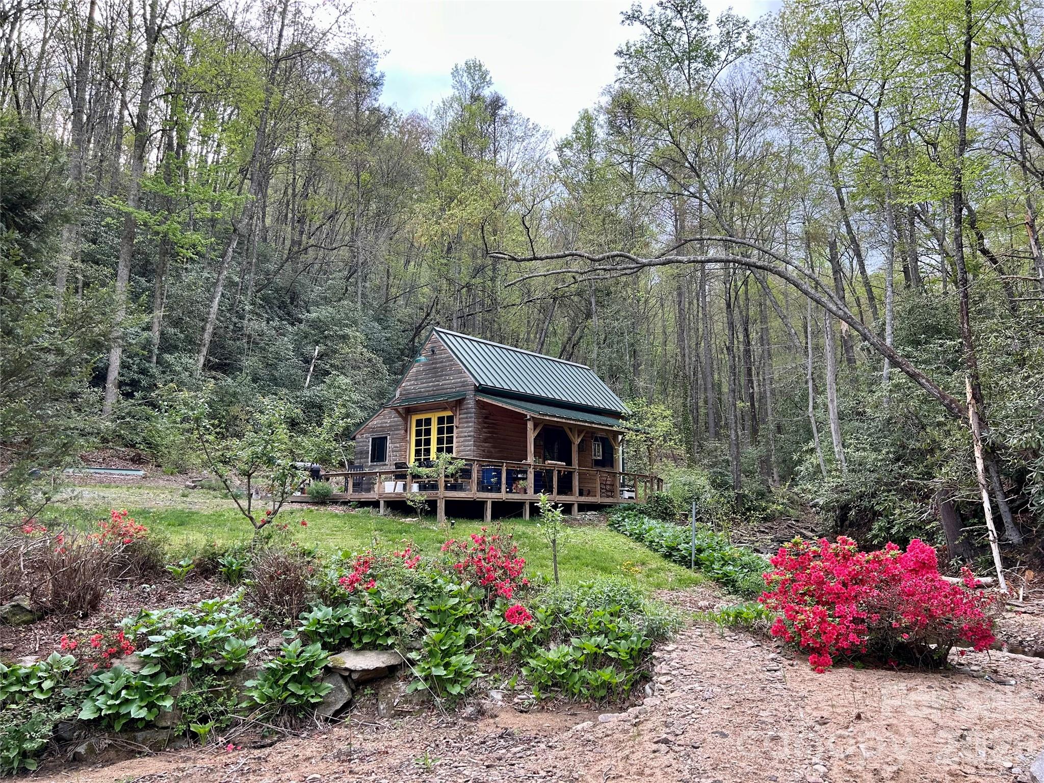 204 Rush Creek Road — Black Mountain