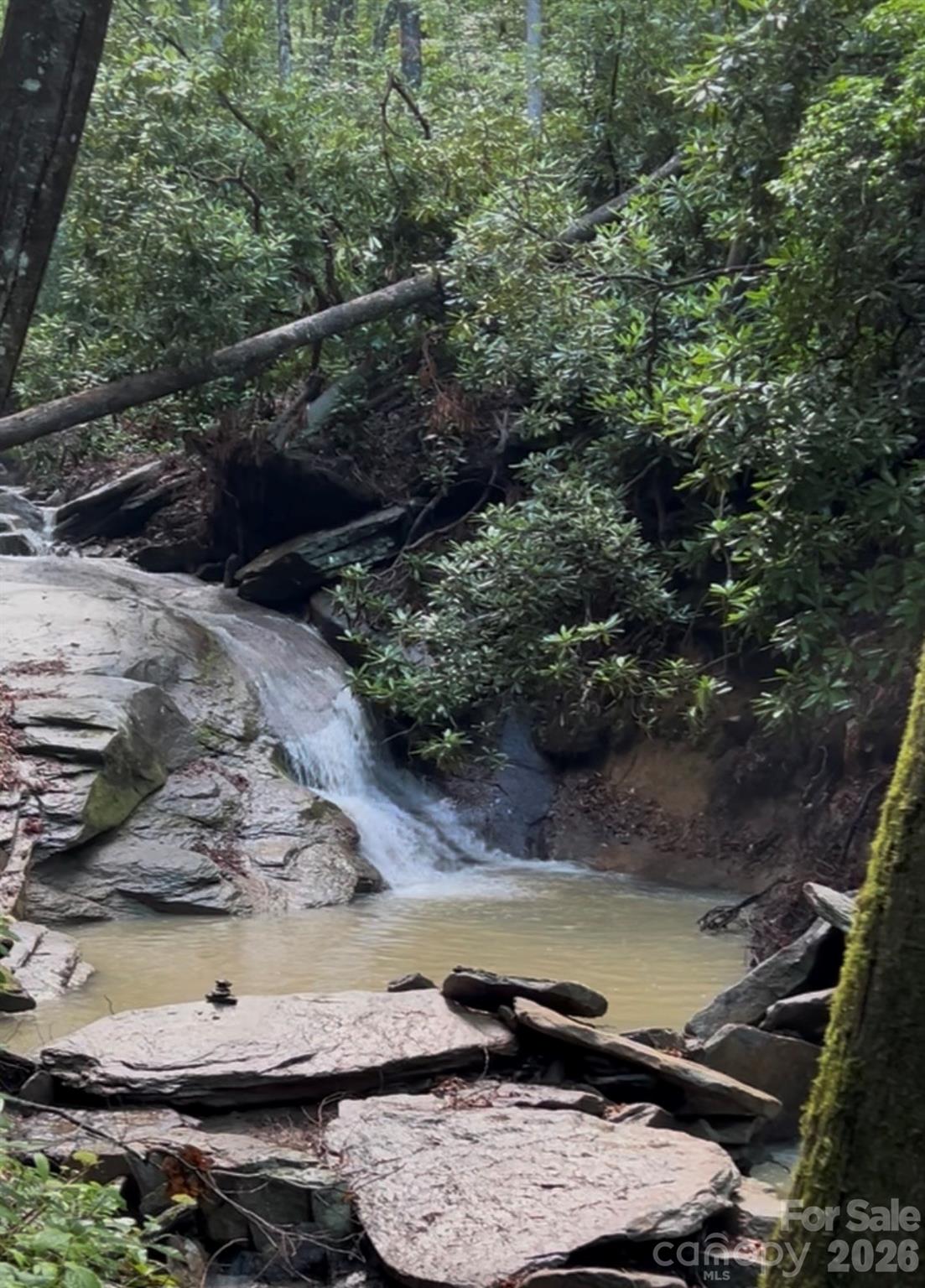 204 Rush Creek Road — Black Mountain