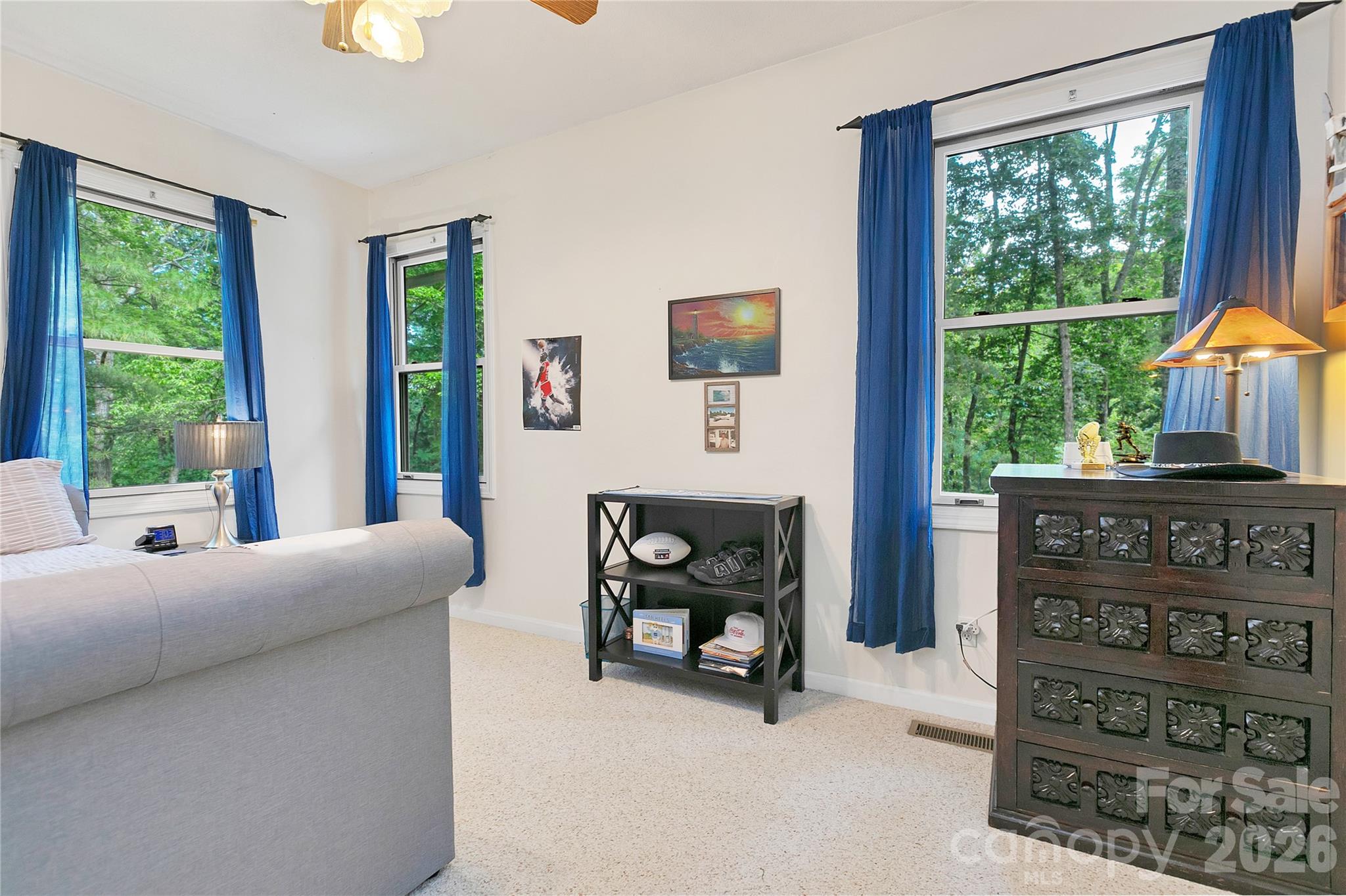 154 Chestnut Lane — Cedar Mountain