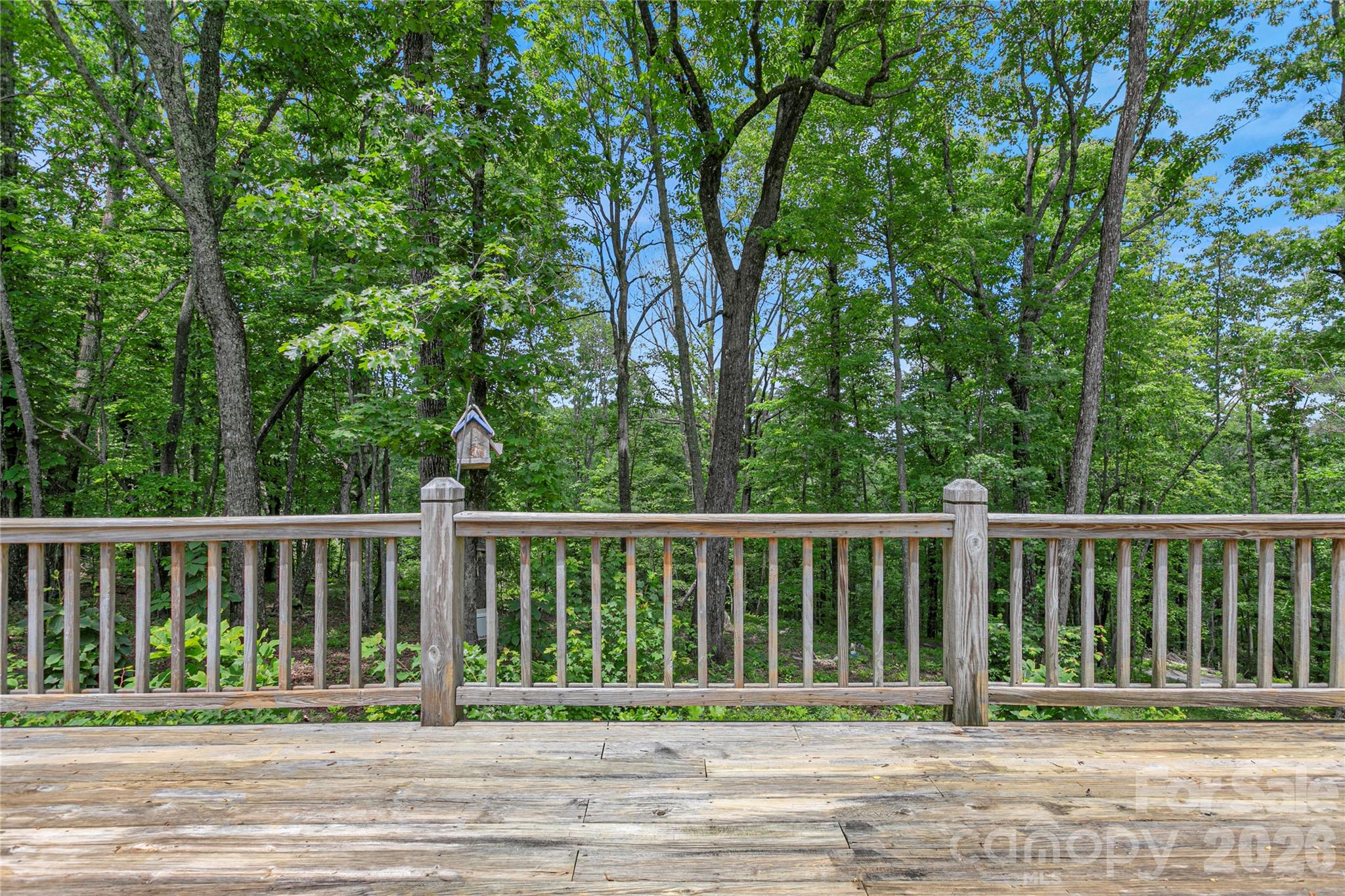 154 Chestnut Lane — Cedar Mountain