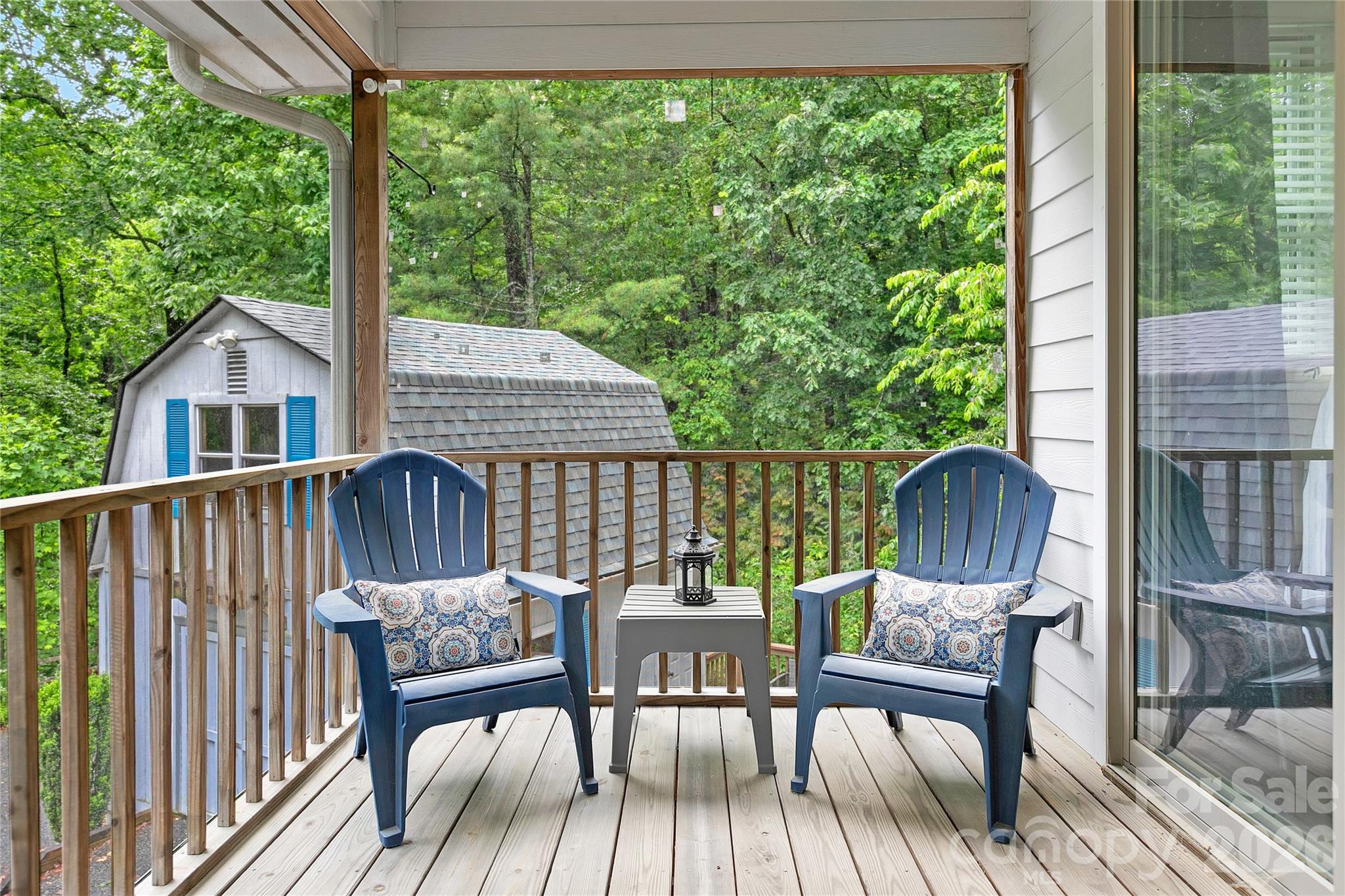 154 Chestnut Lane — Cedar Mountain