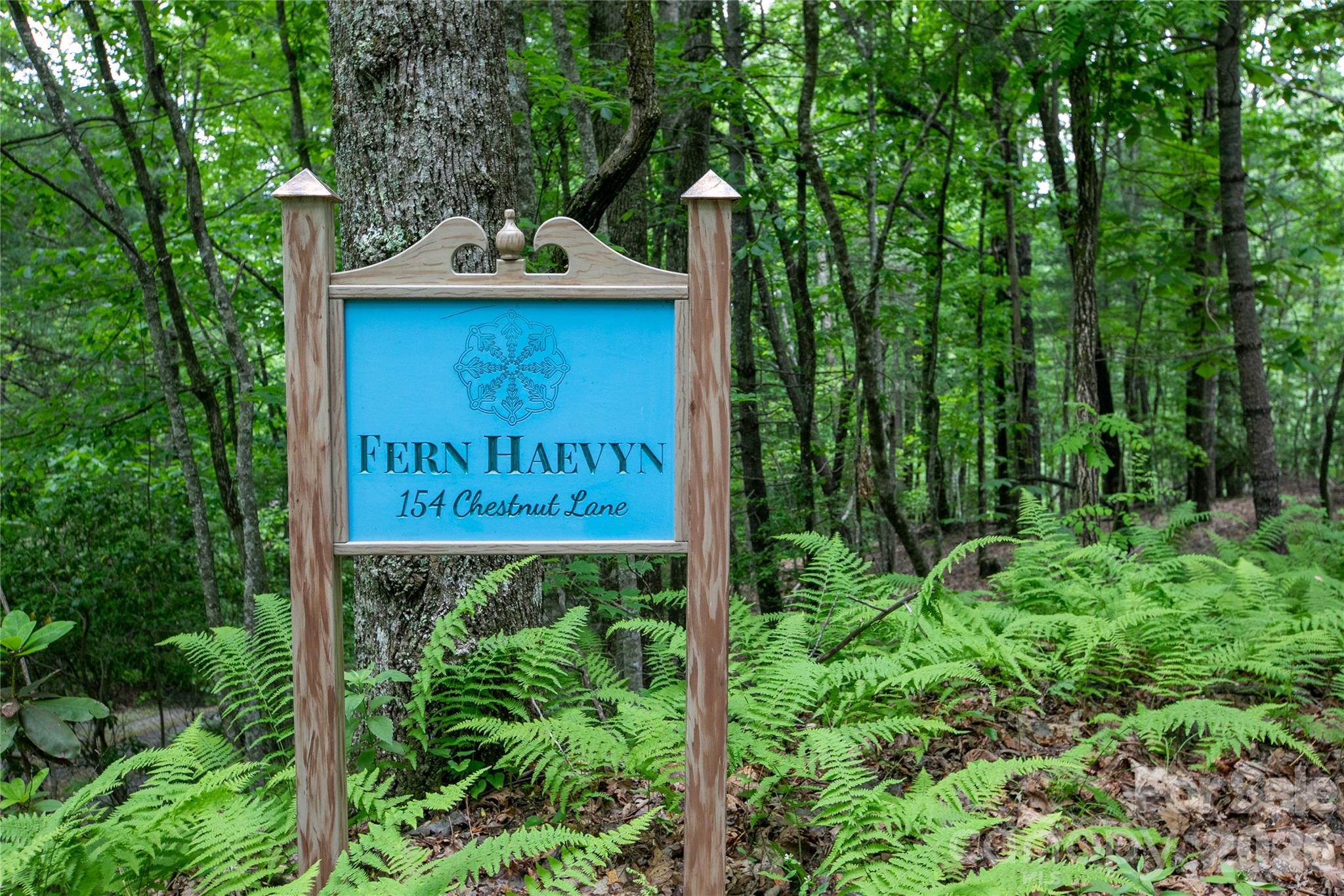 154 Chestnut Lane — Cedar Mountain