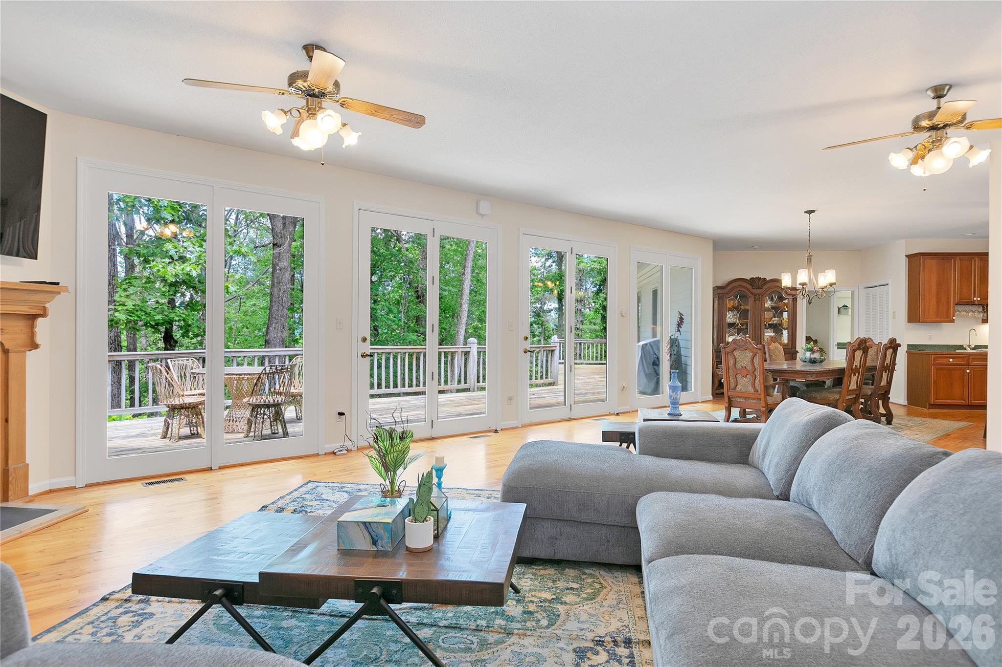 154 Chestnut Lane — Cedar Mountain
