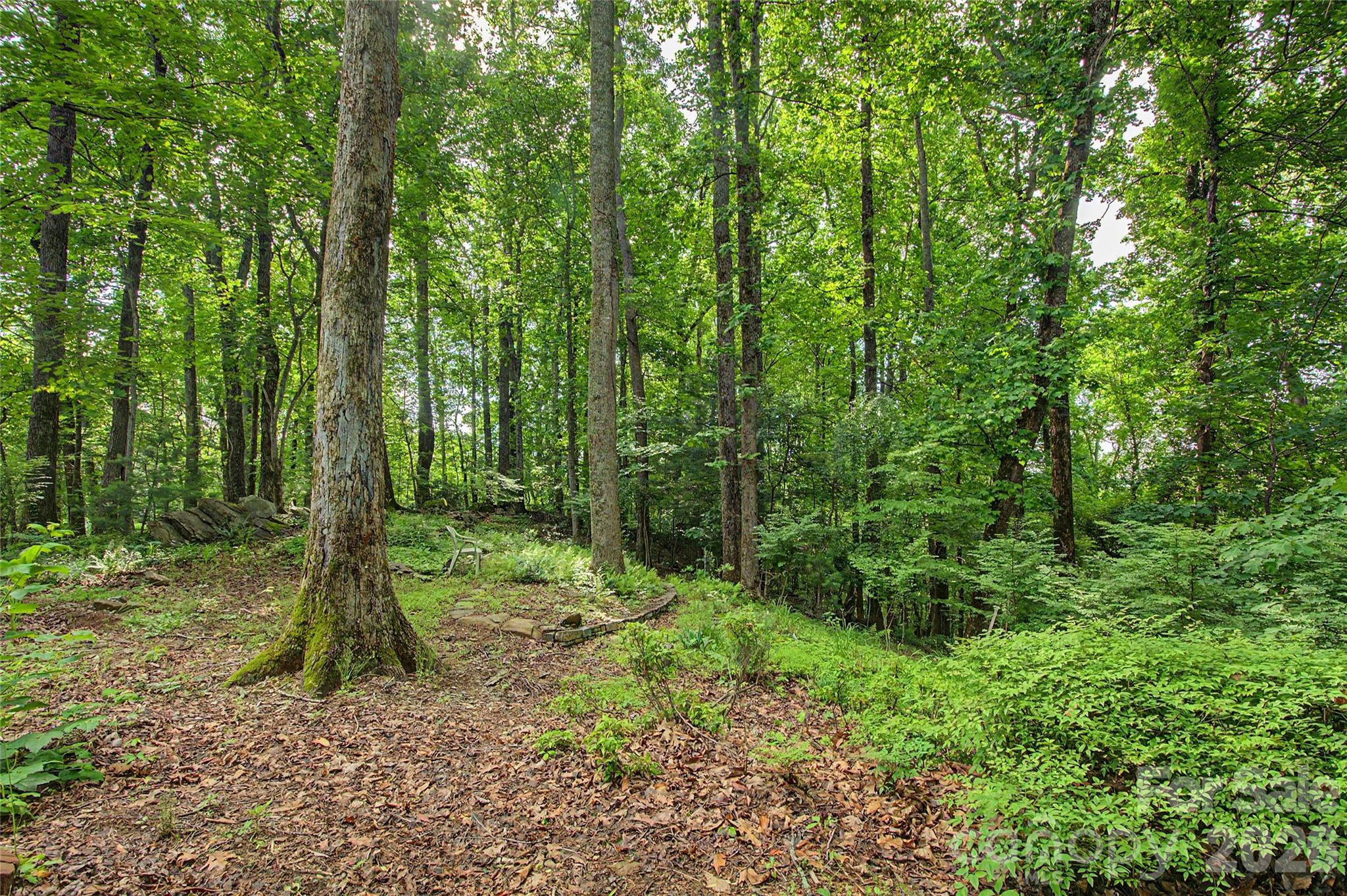 383 Ravenwood Lane — Horse Shoe
