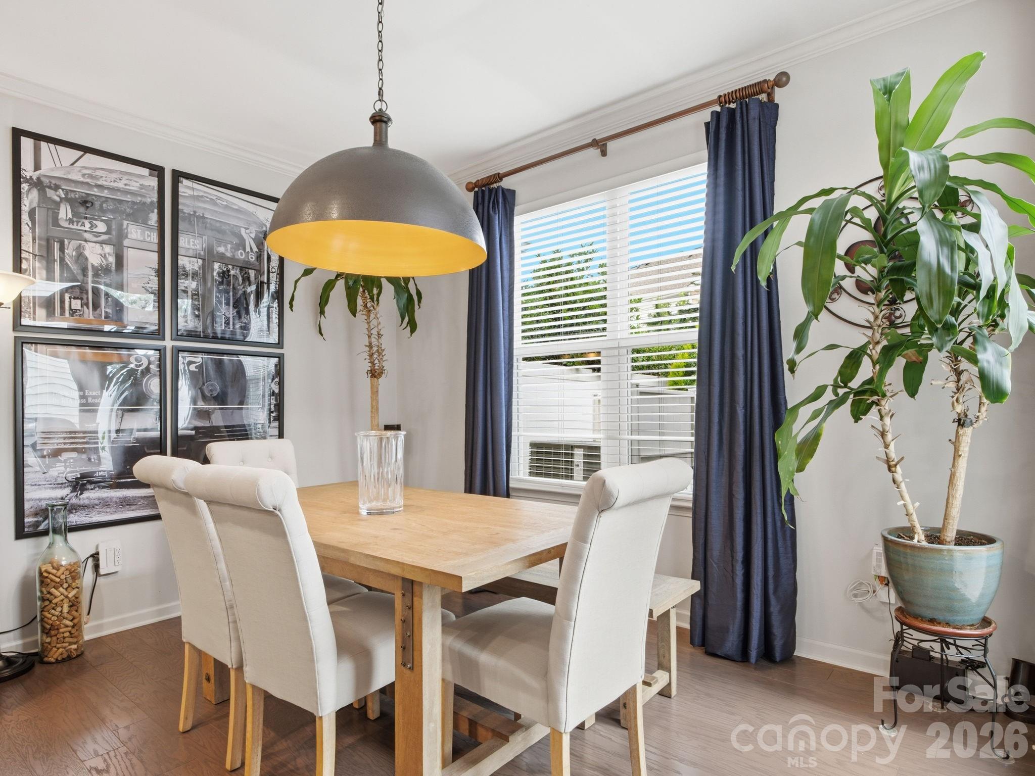 533 Park View Drive — Belmont