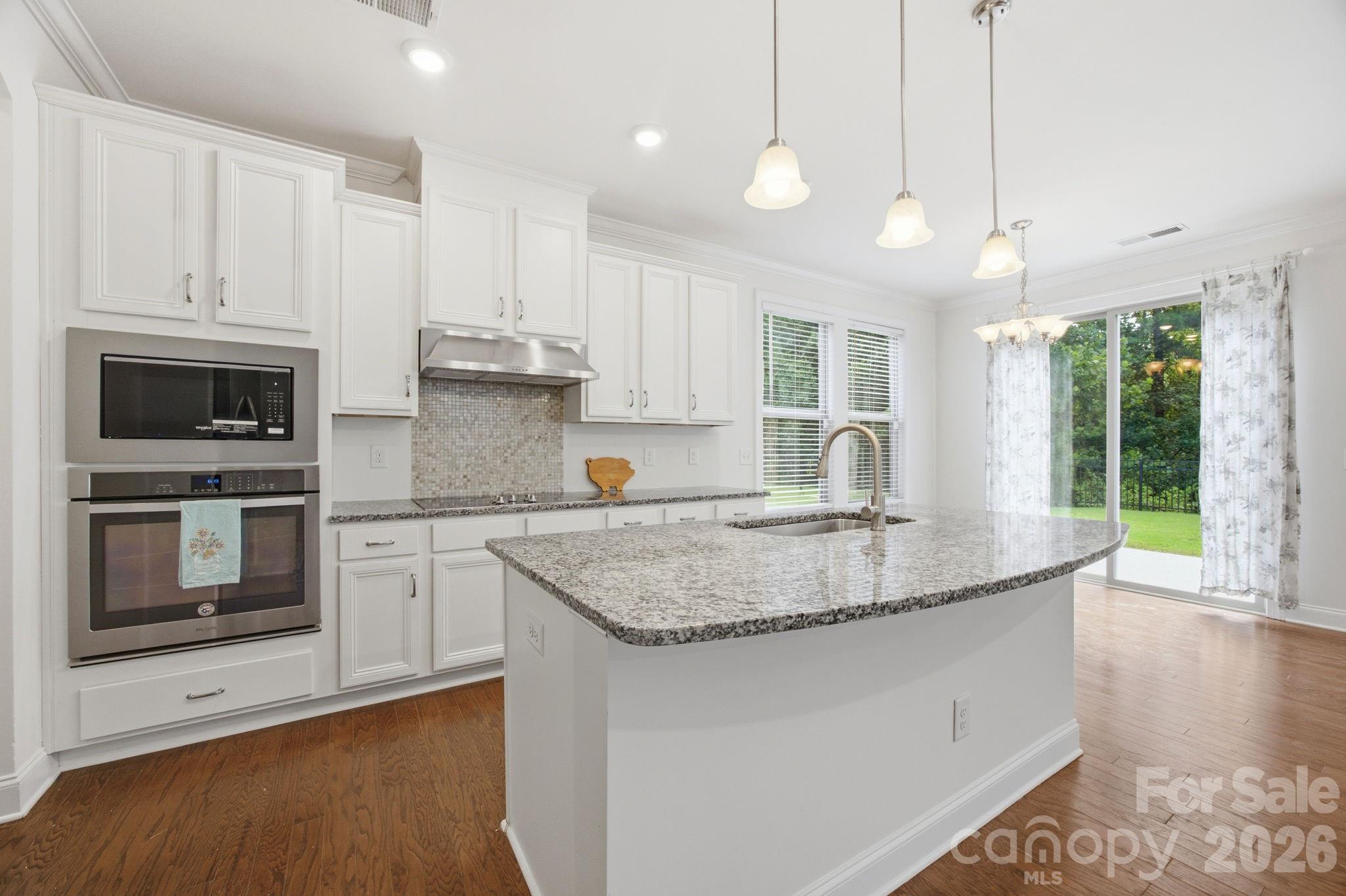 11731 Clems Branch Drive — Charlotte