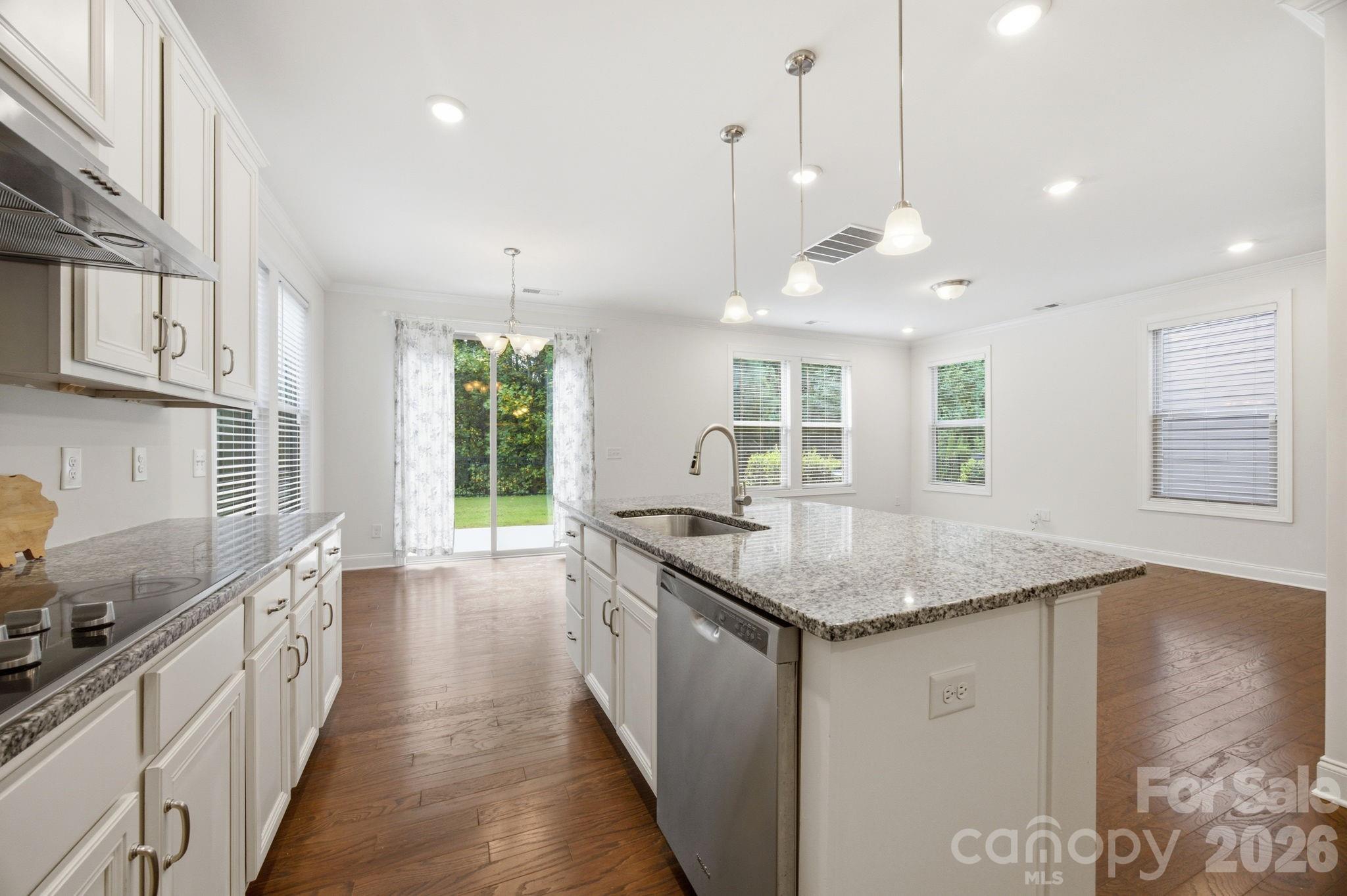 11731 Clems Branch Drive — Charlotte