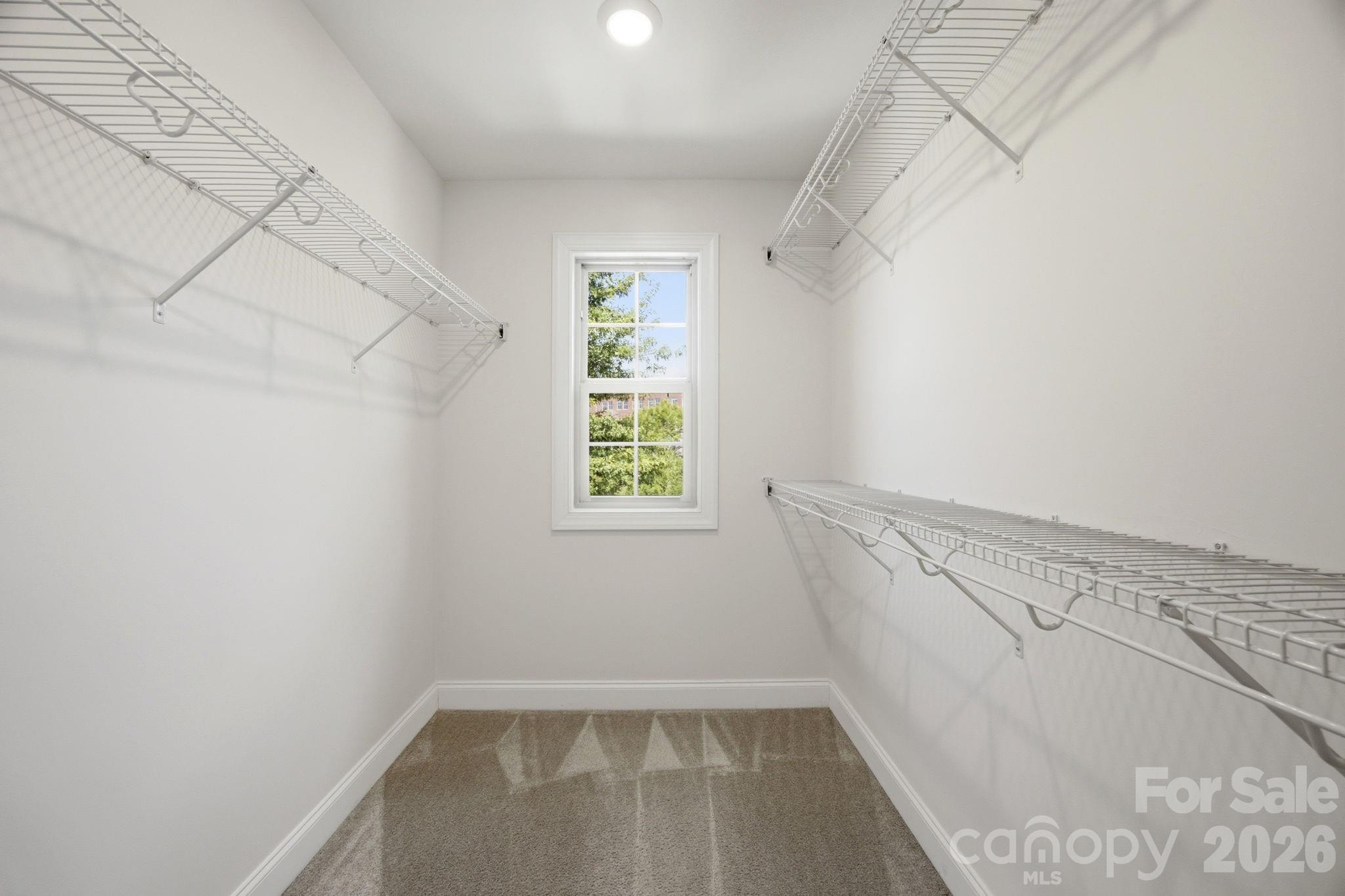 11731 Clems Branch Drive — Charlotte